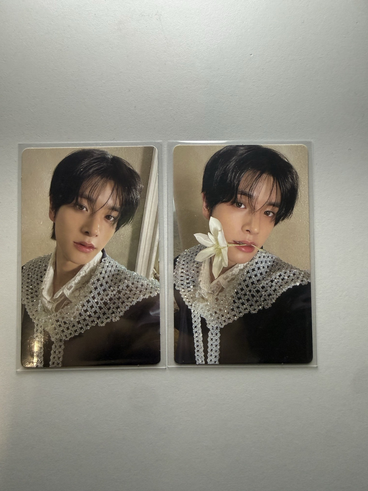 enhypen 沈載倫 mini5銀版專卡  