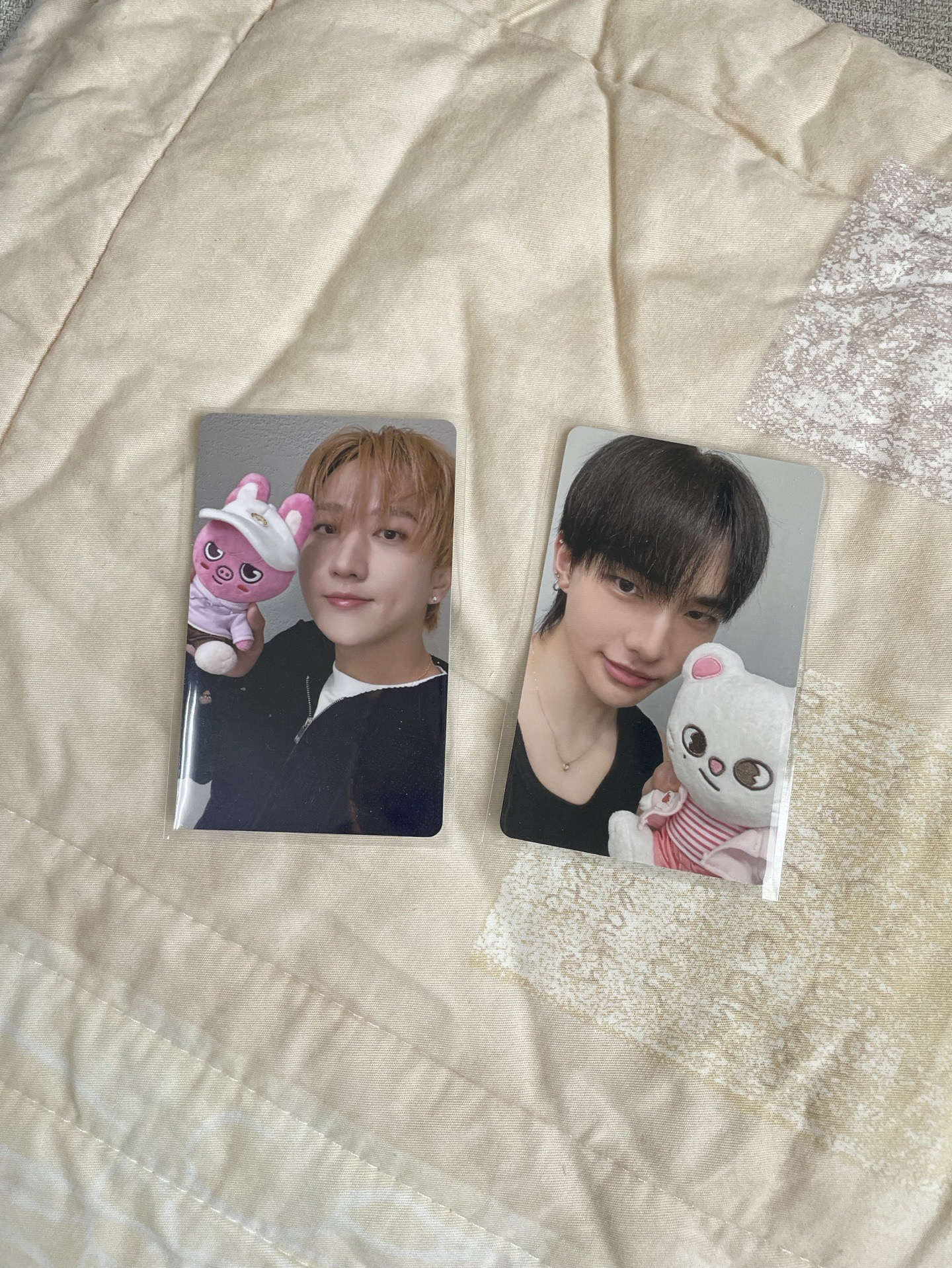 Stray kids 動物方城市 滿額卡 彰彬 鉉辰