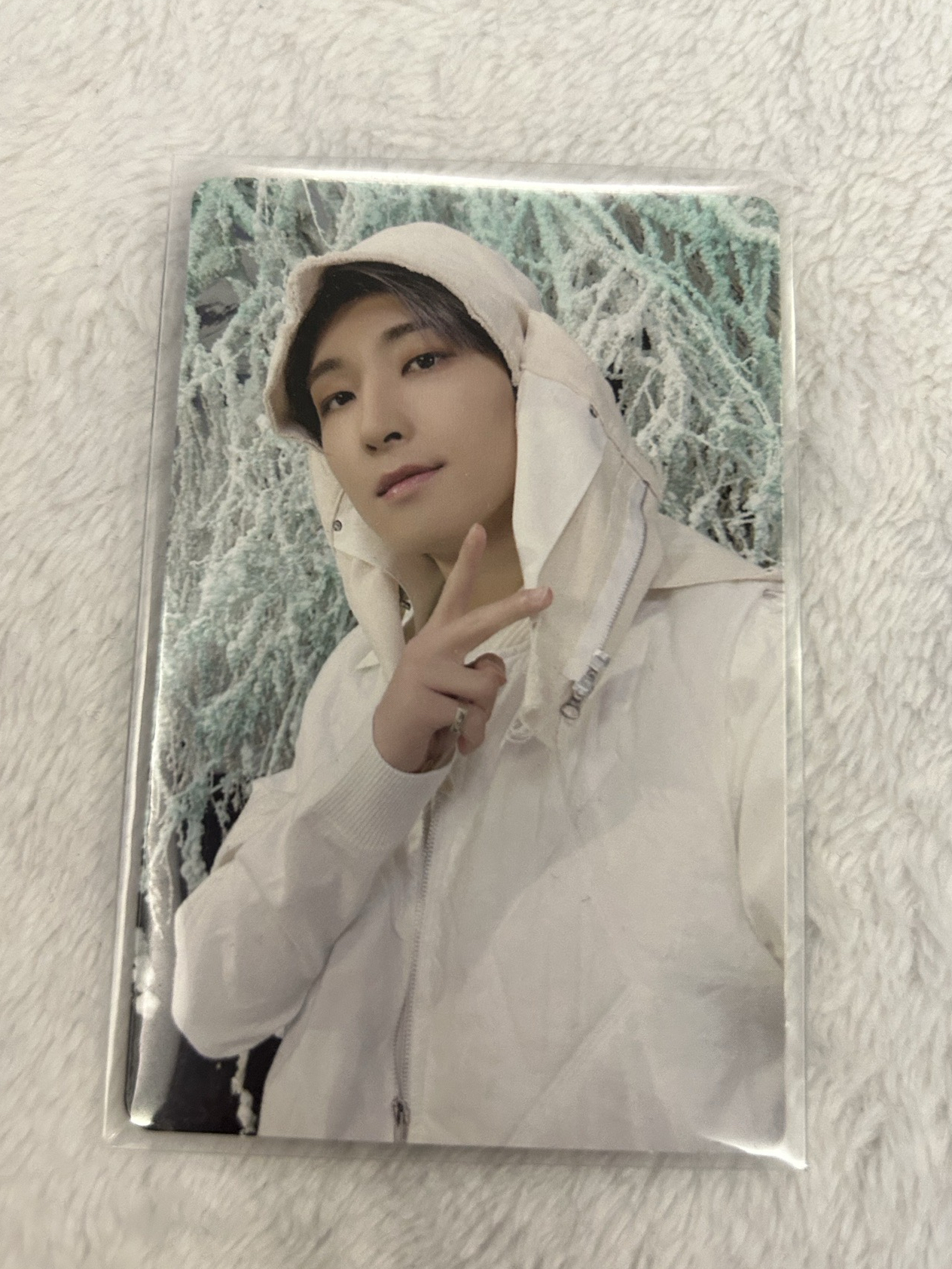 SEVENTEEN 圓佑 專卡