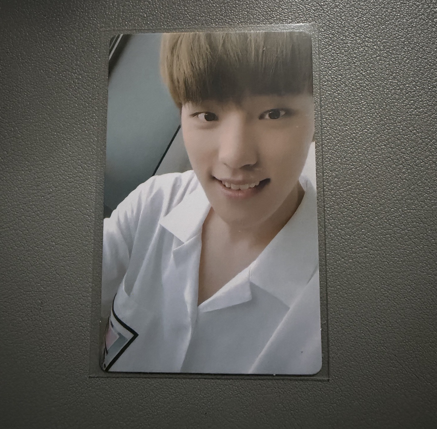 SEVENTEEN DINO mini5 mini6 精選專卡