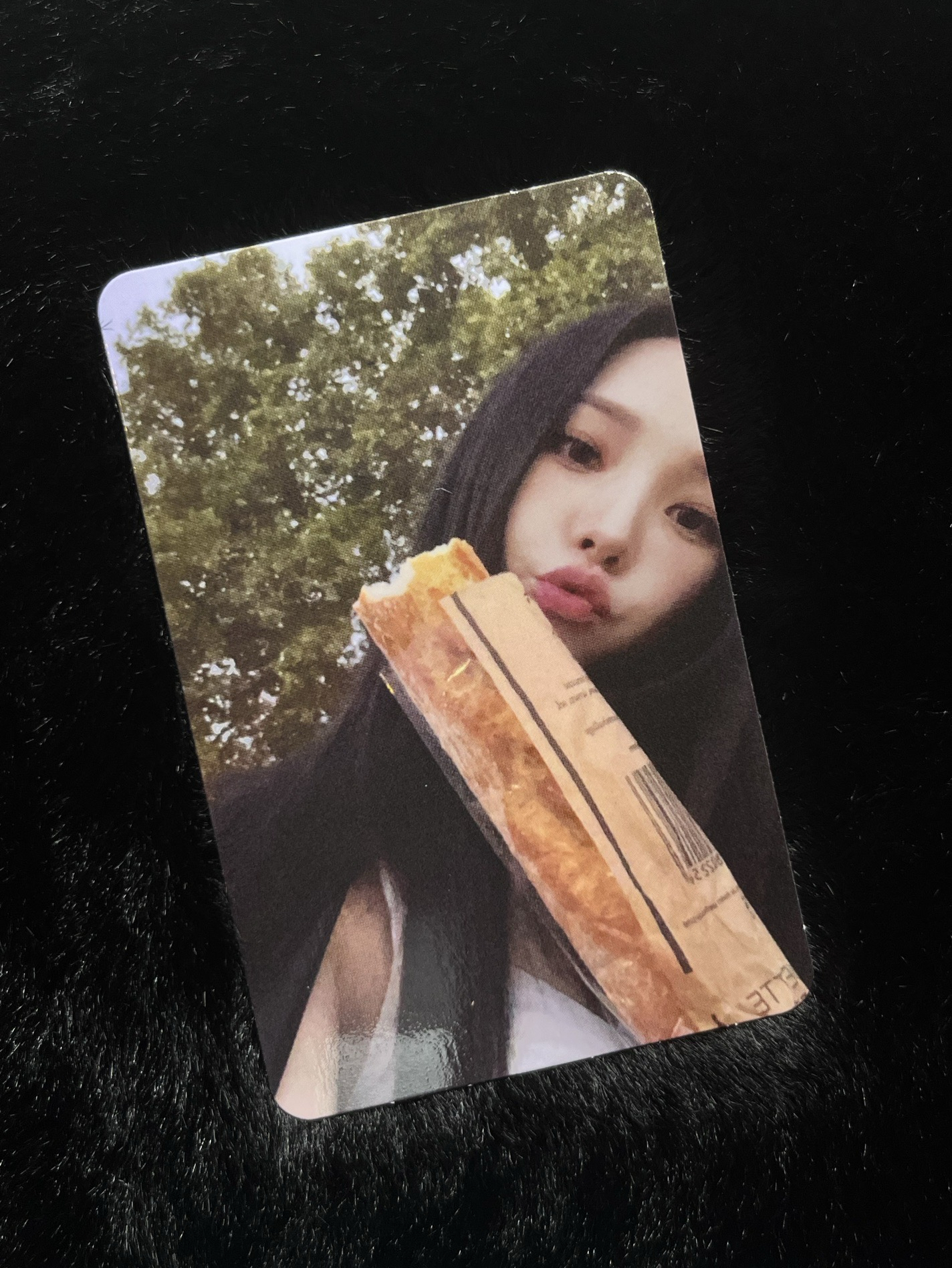 二周年 幸運卡柚