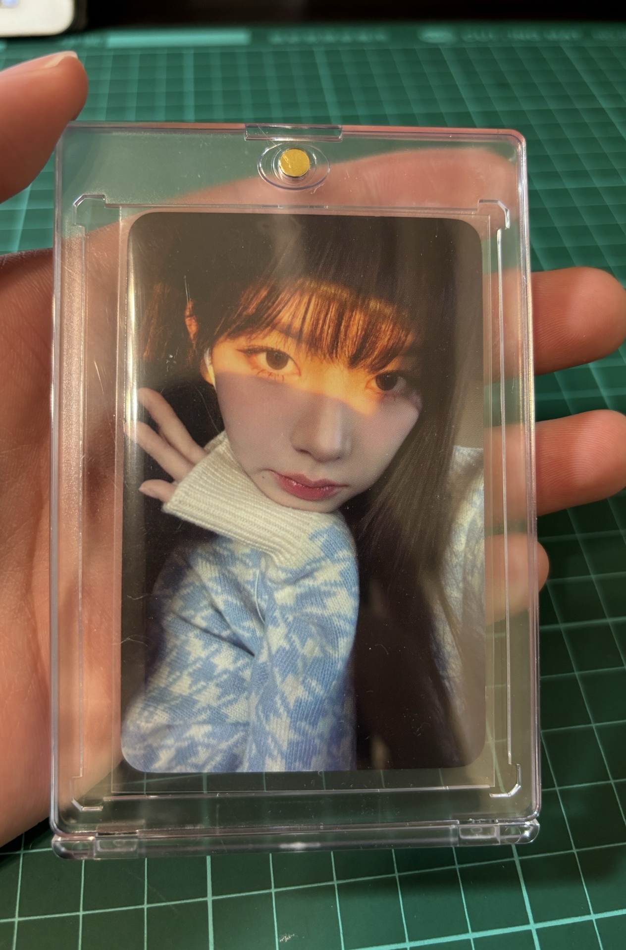 陽光柚（含卡磚）