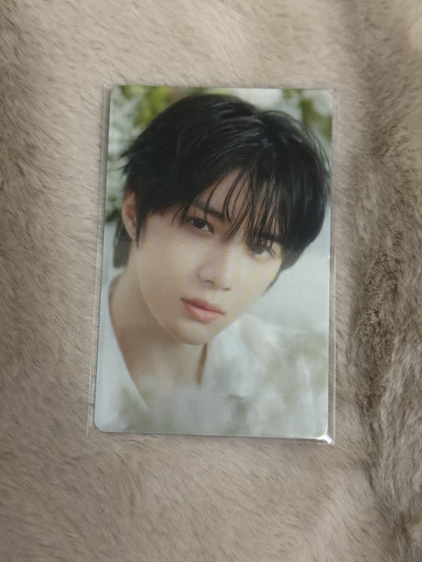 TXT 杋圭🧸 25’巡迴 日巡 周邊卡 項鍊卡