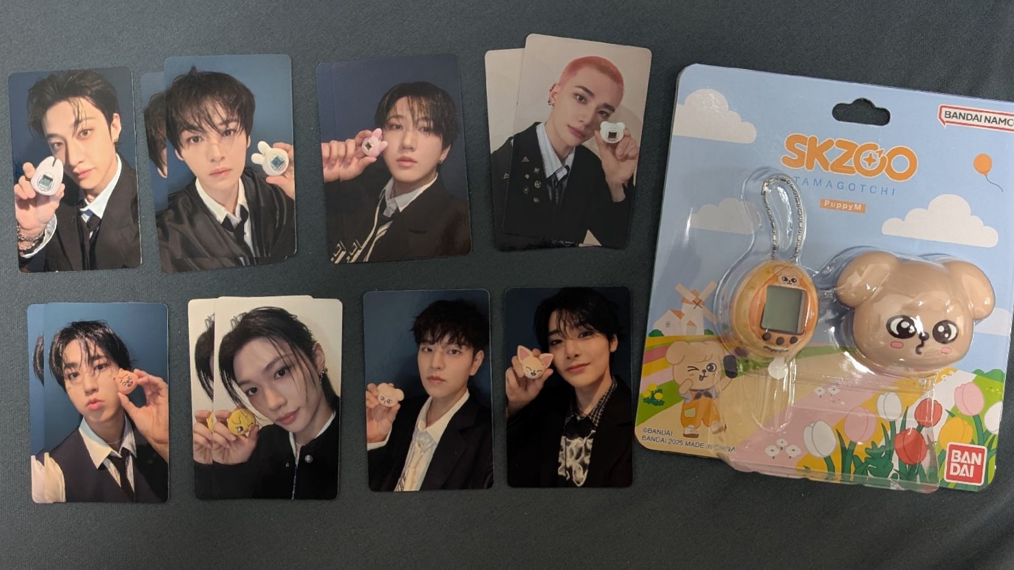 帕皮 電子雞（含套卡）