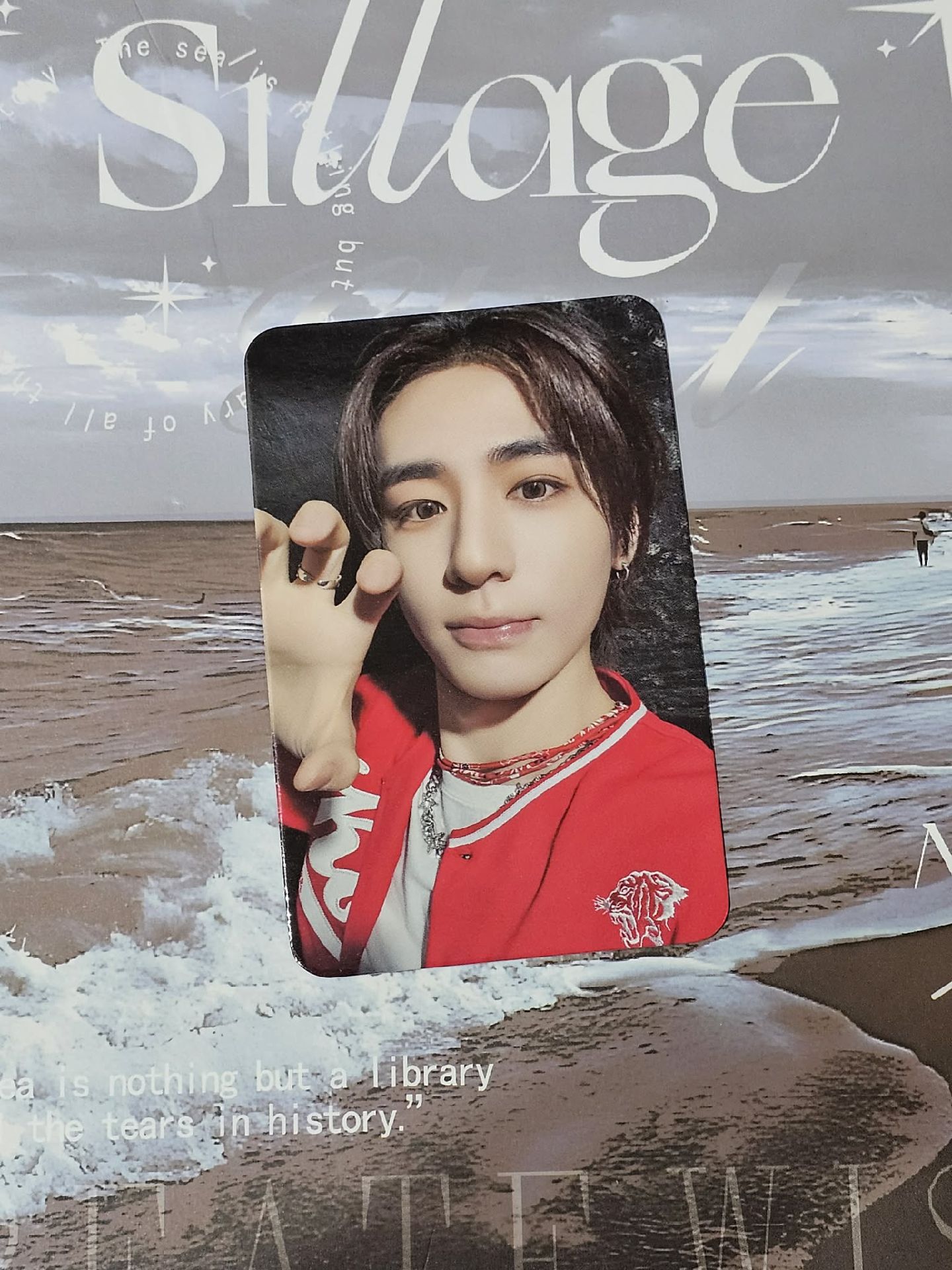 🎀The Action MUSINSA 幸運卡 