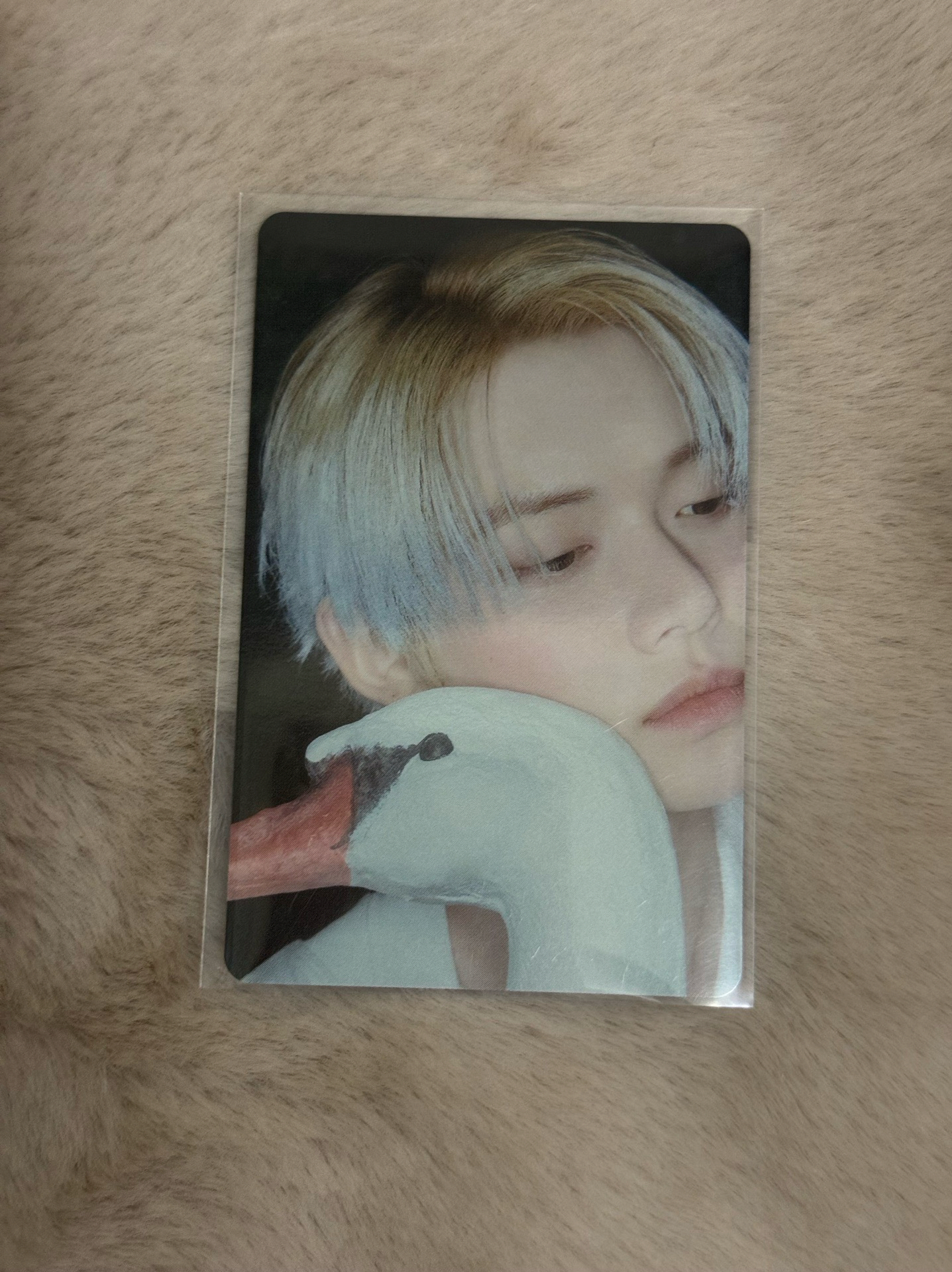 TXT 然竣🦊 Starkissed 隨機卡 