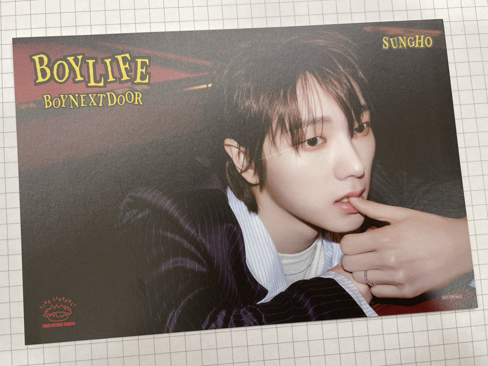 朴成淏 - 文物修復師請看看這張