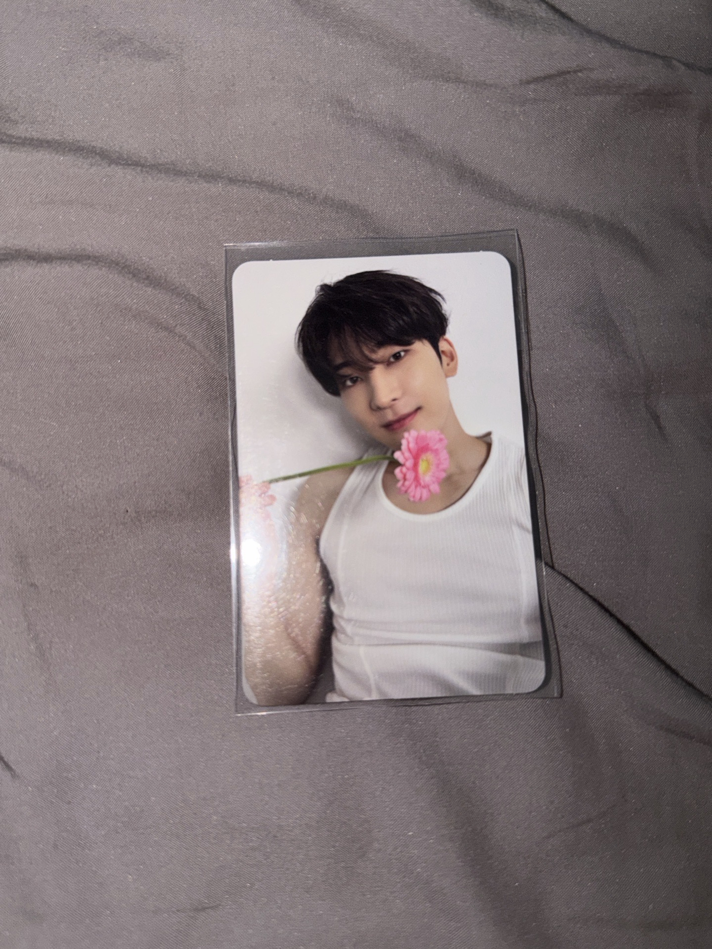 SEVENTEEN 精選專 克拉盤 圓 小卡