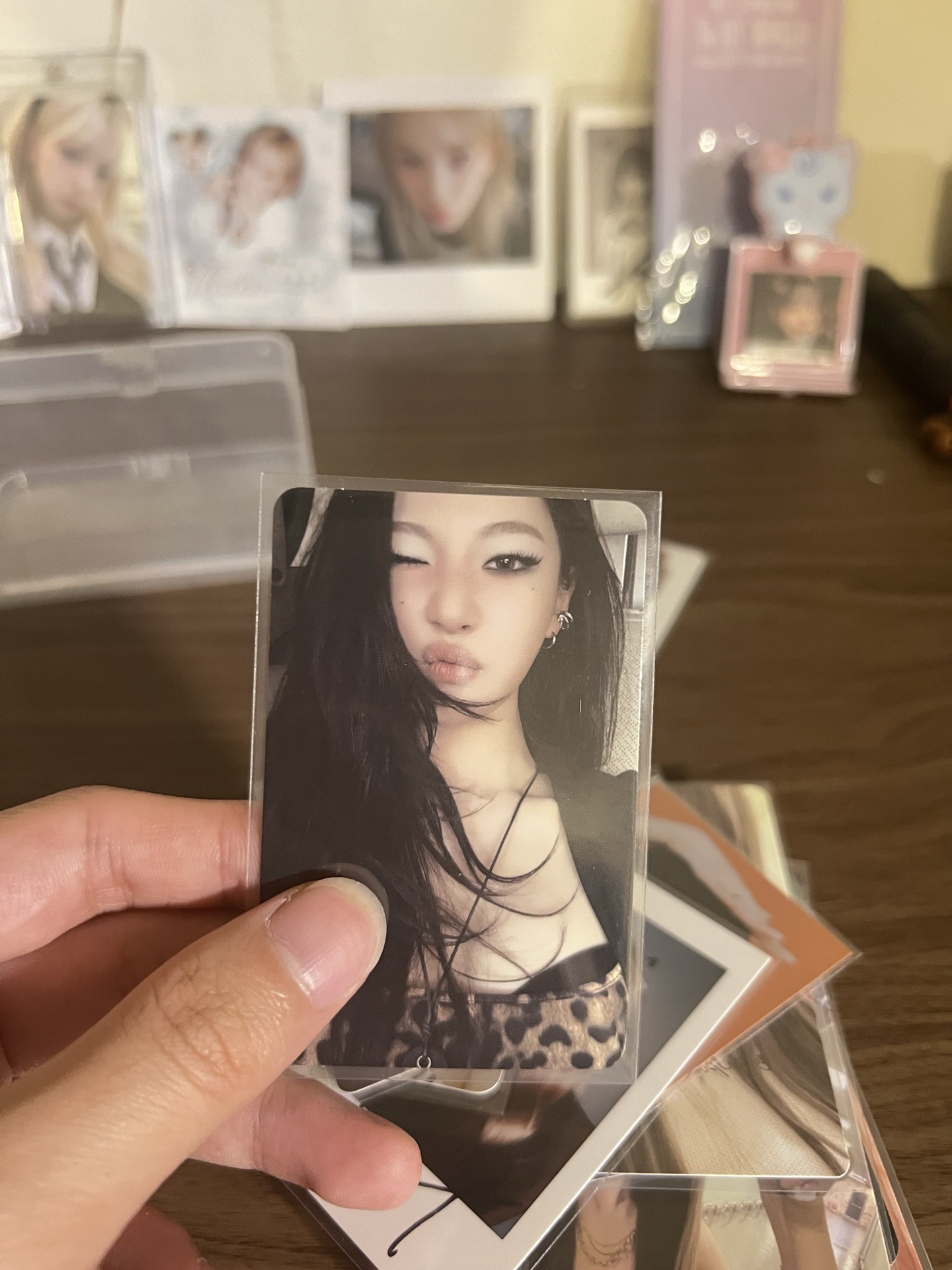 DW寧專卡 豹紋寧