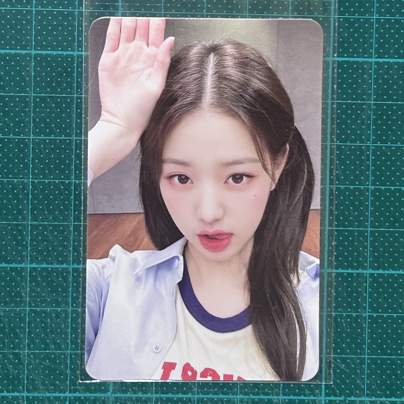 I've IVE ms 垂耳兔員