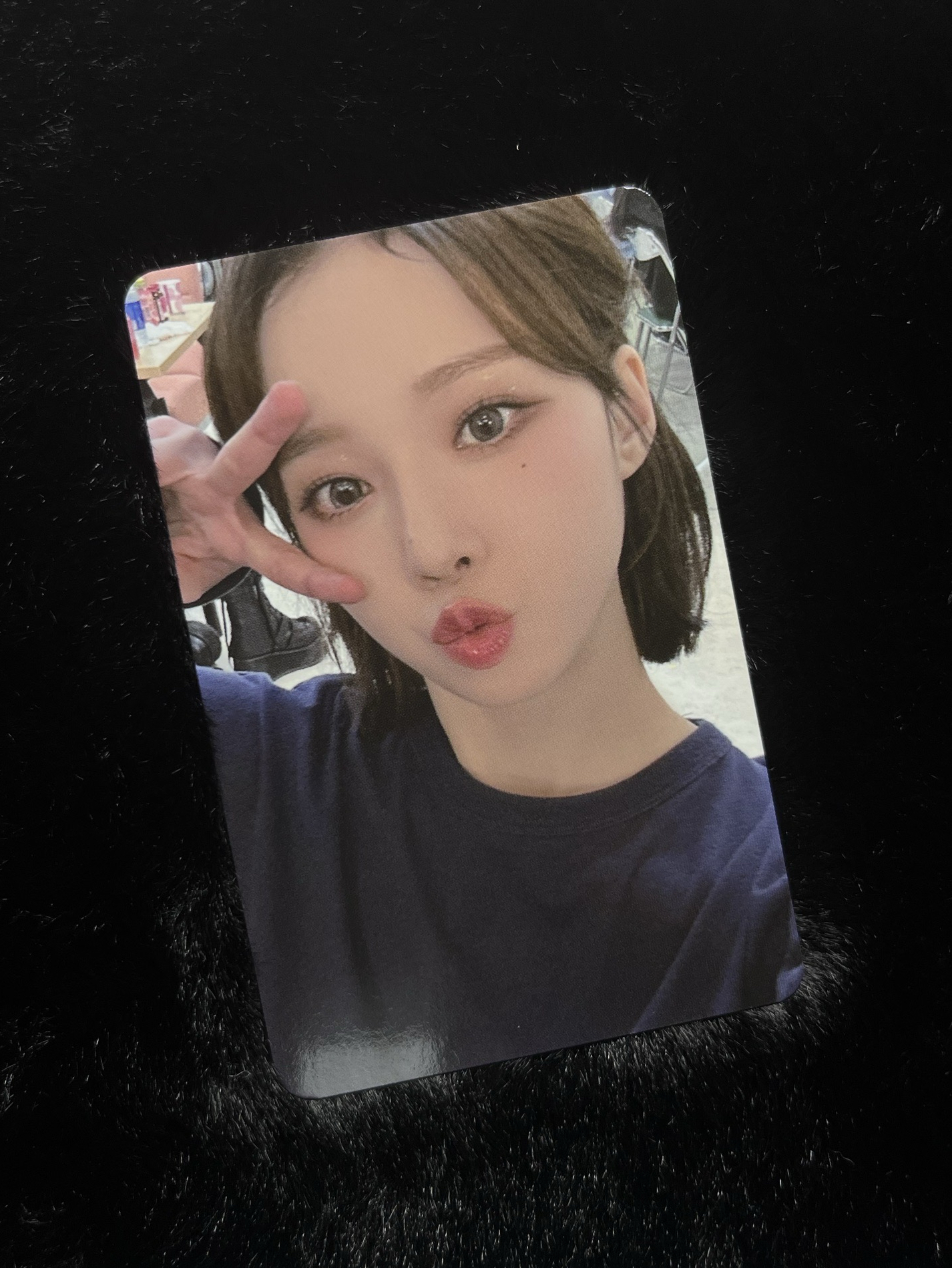 MY WORLD k4預售 小樹杈冬