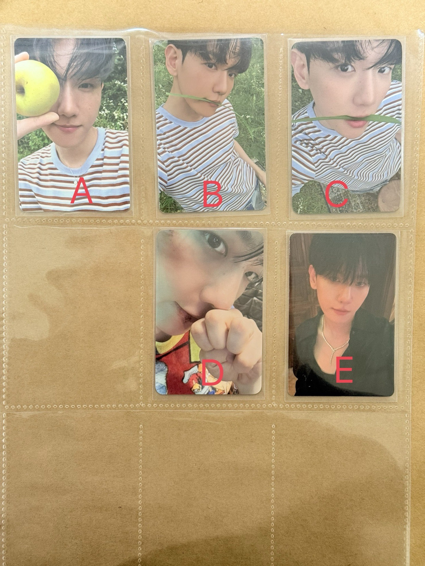 伯賢 Hello,world 專卡、特典卡