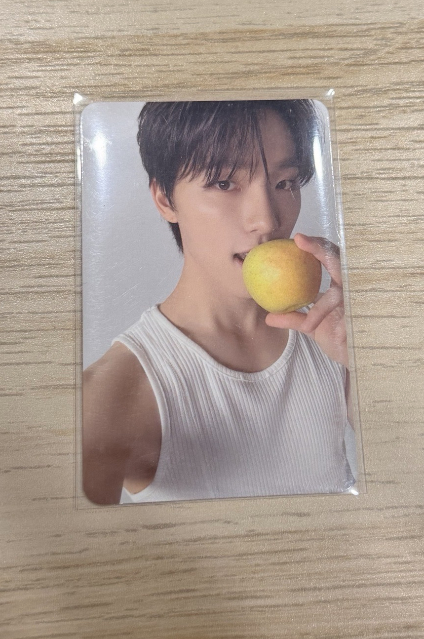 SEVENTEEN 💎精選專 克拉盤 ✩ Dino 咬蘋果燦 🦦🍎