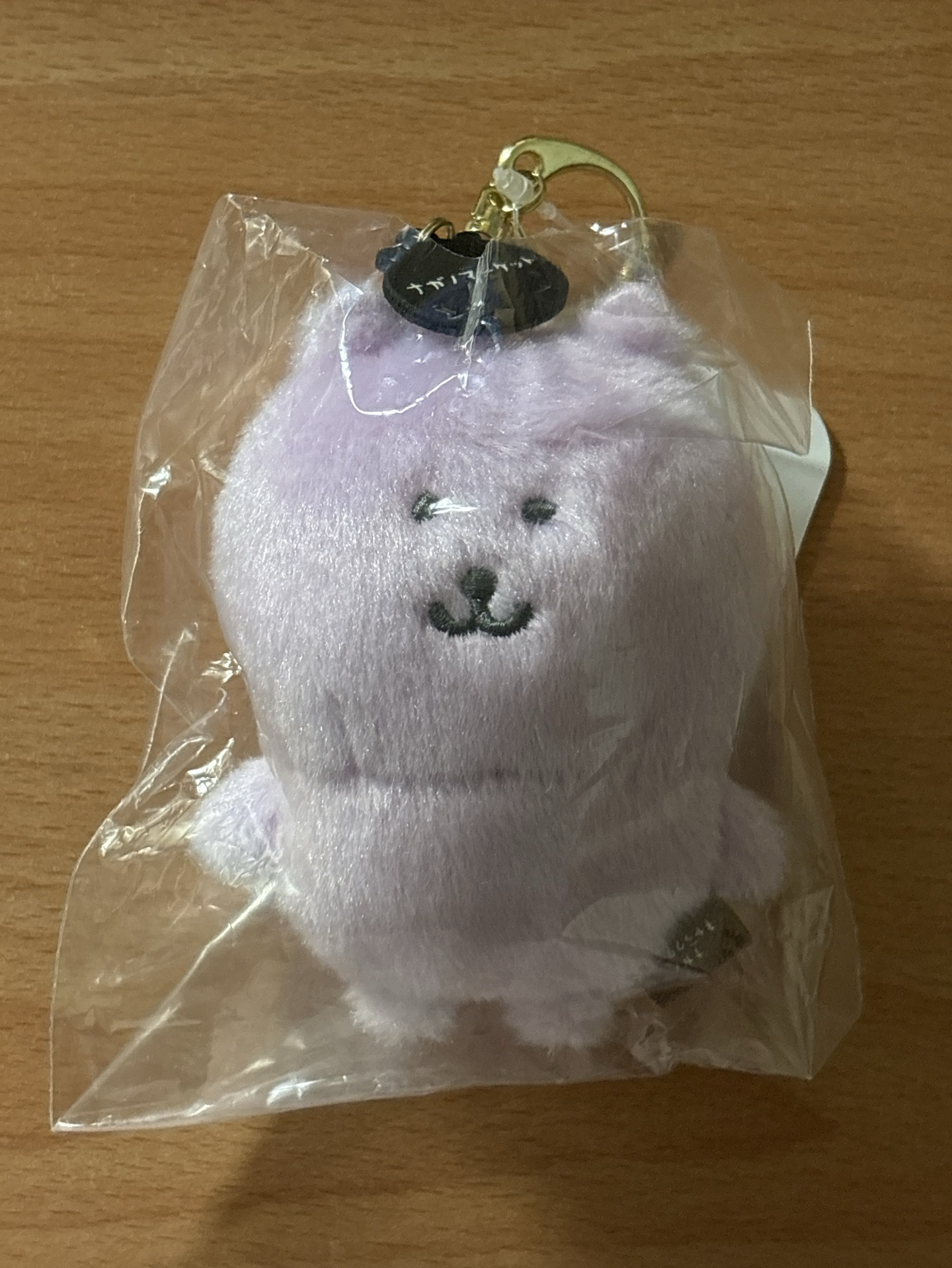 淺紫彩虹熊（當綁卡）