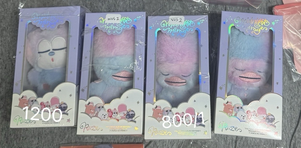 Shotaro 娃專 WVS版 已拆全專