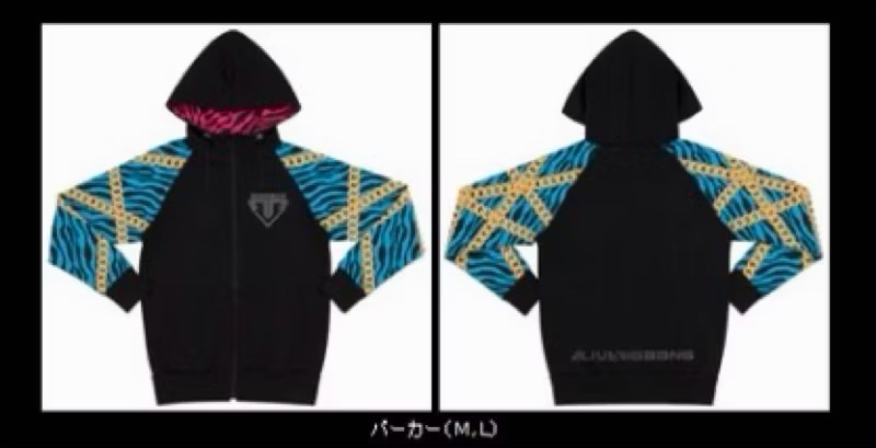 2012 - ALIVE TOUR - JAPAN 周邊 外套 二手 無原袋