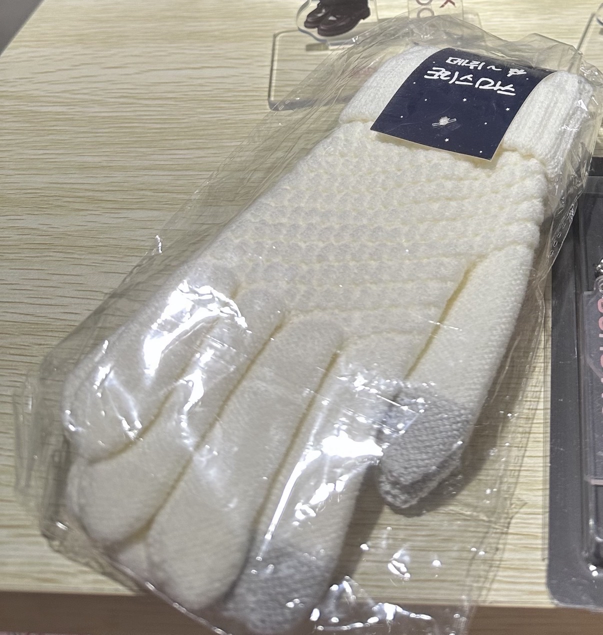  2019 HA SUNG WOON FAN PARTY 'CASTLE ON A CLOUD 手套