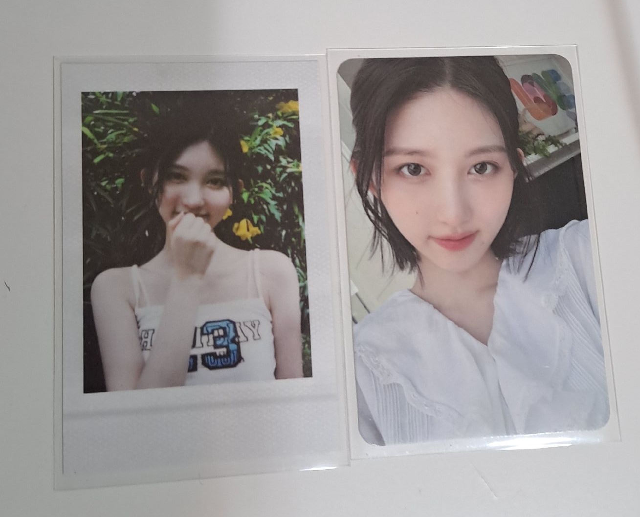 夏日寫真 秋 固配