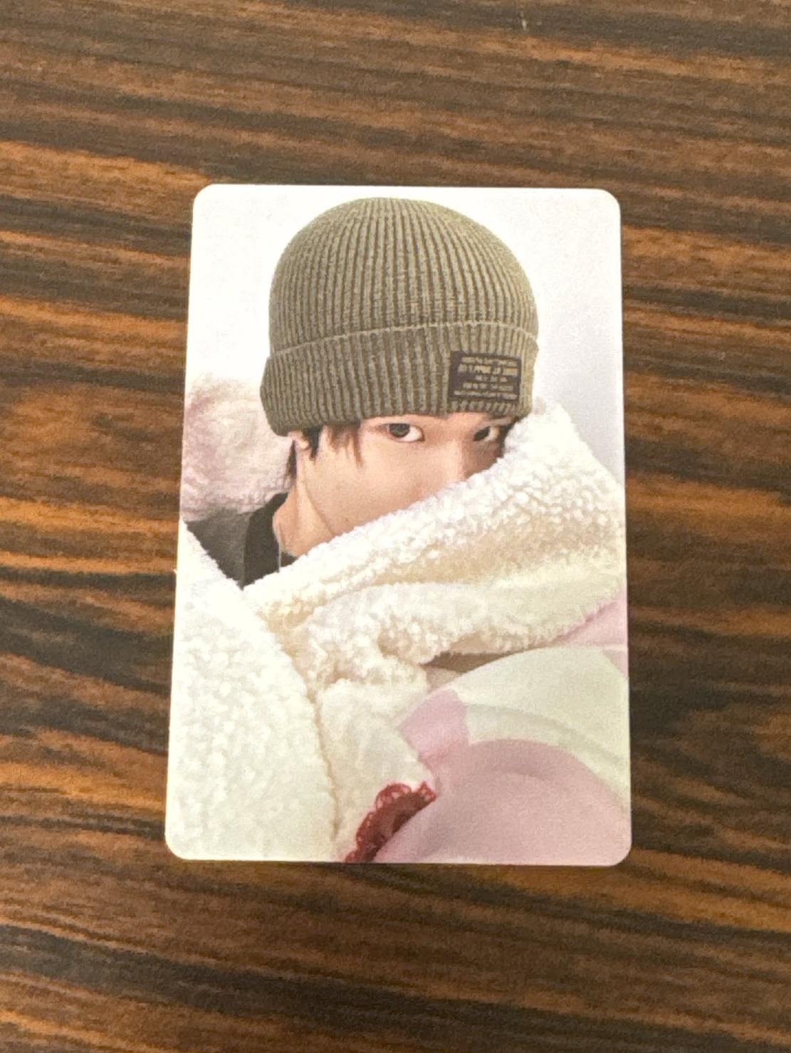 sohee 小狗蓋被被