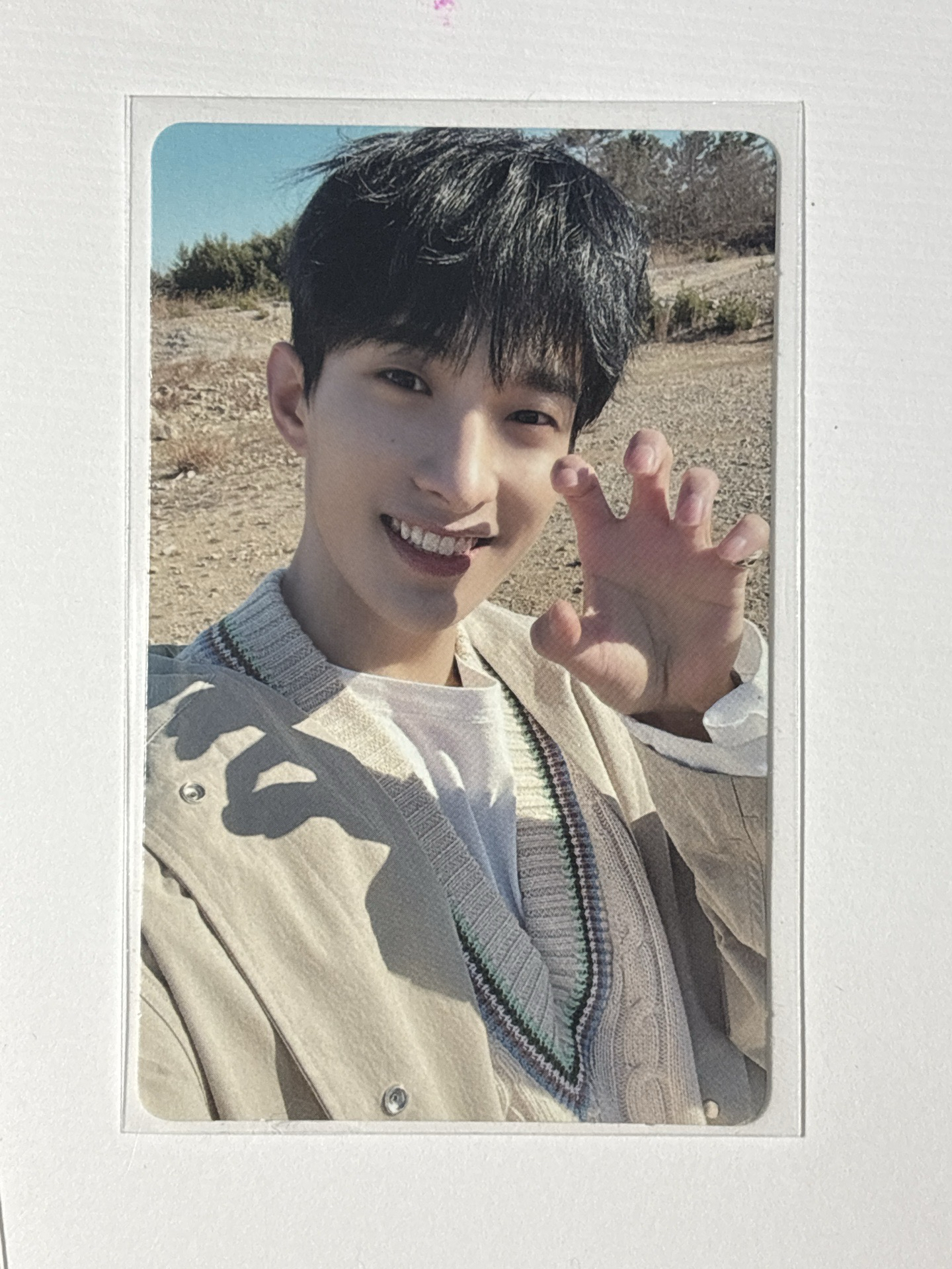 虎爪碩（含綁價格）