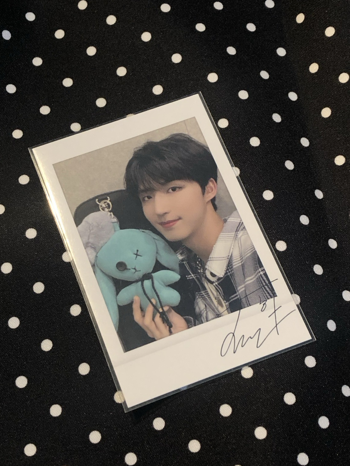 早期拍立得菇🍄