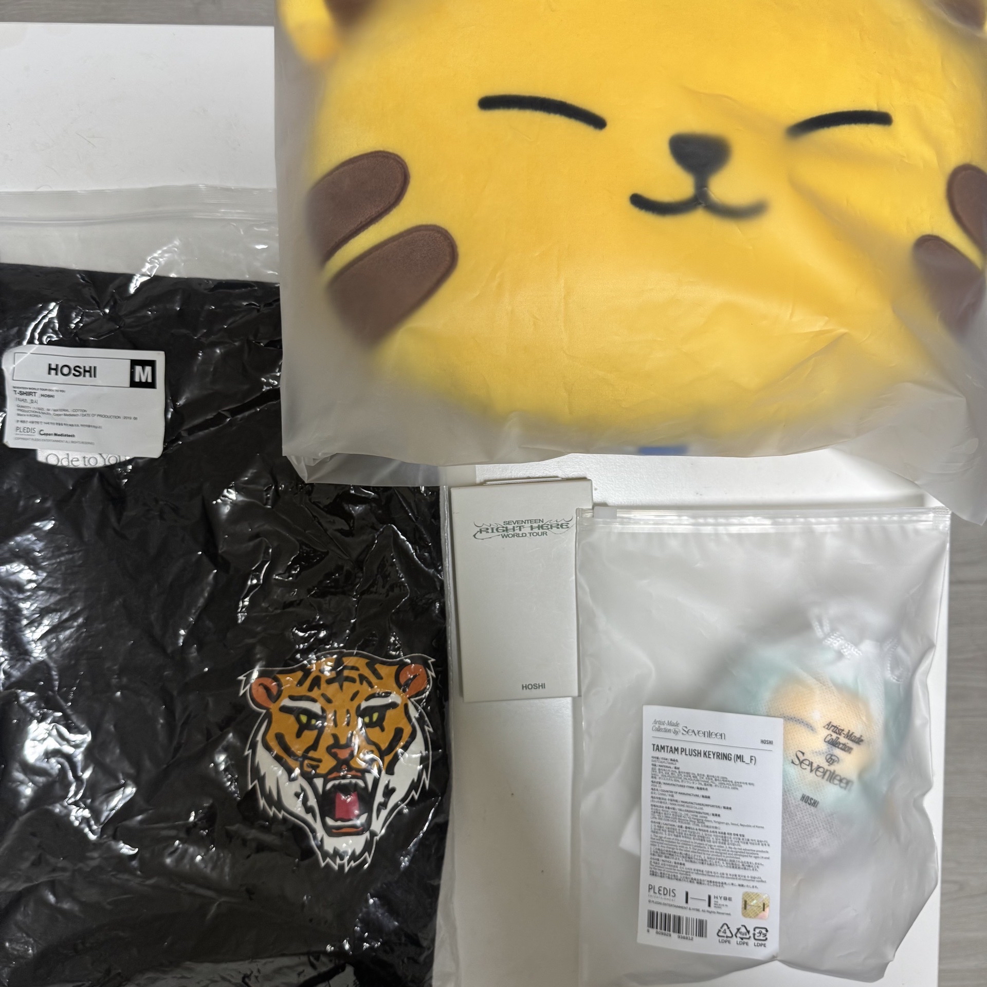 全新未下水 未試穿