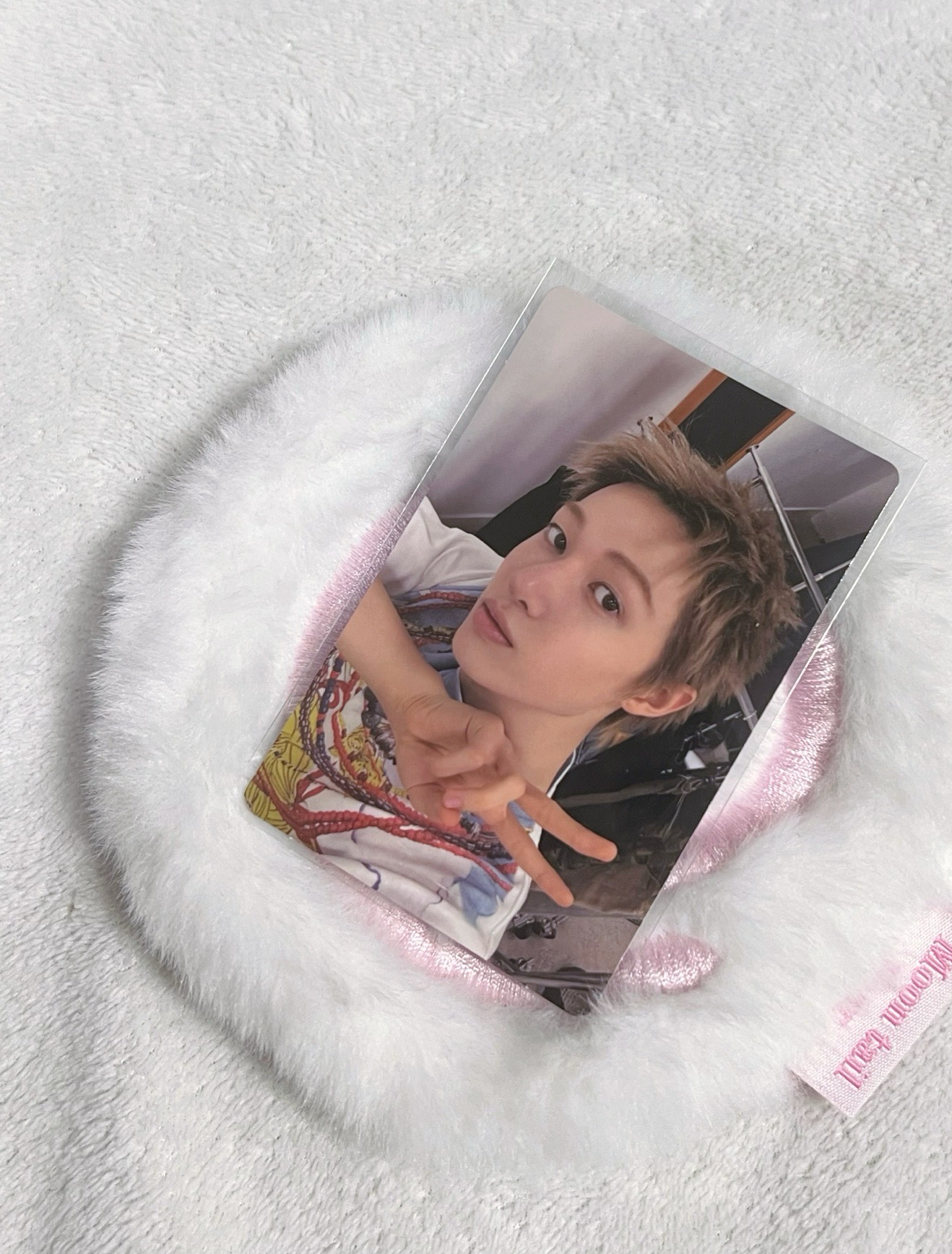 S1 專卡 馬🐕‍🦺