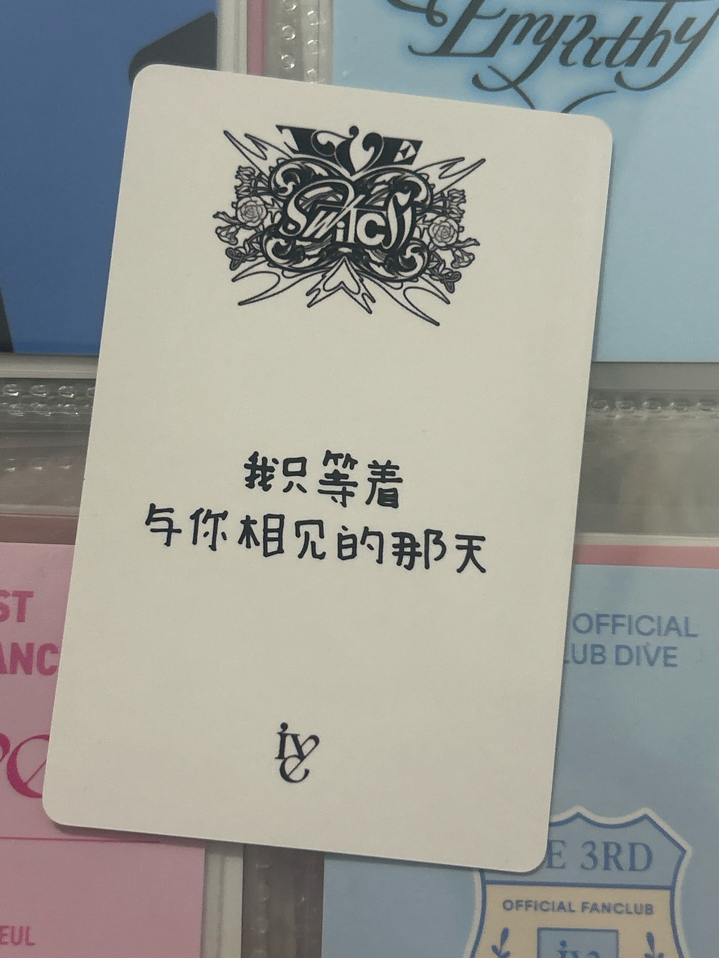 Liz yzy 一直娛 中文卡背栗