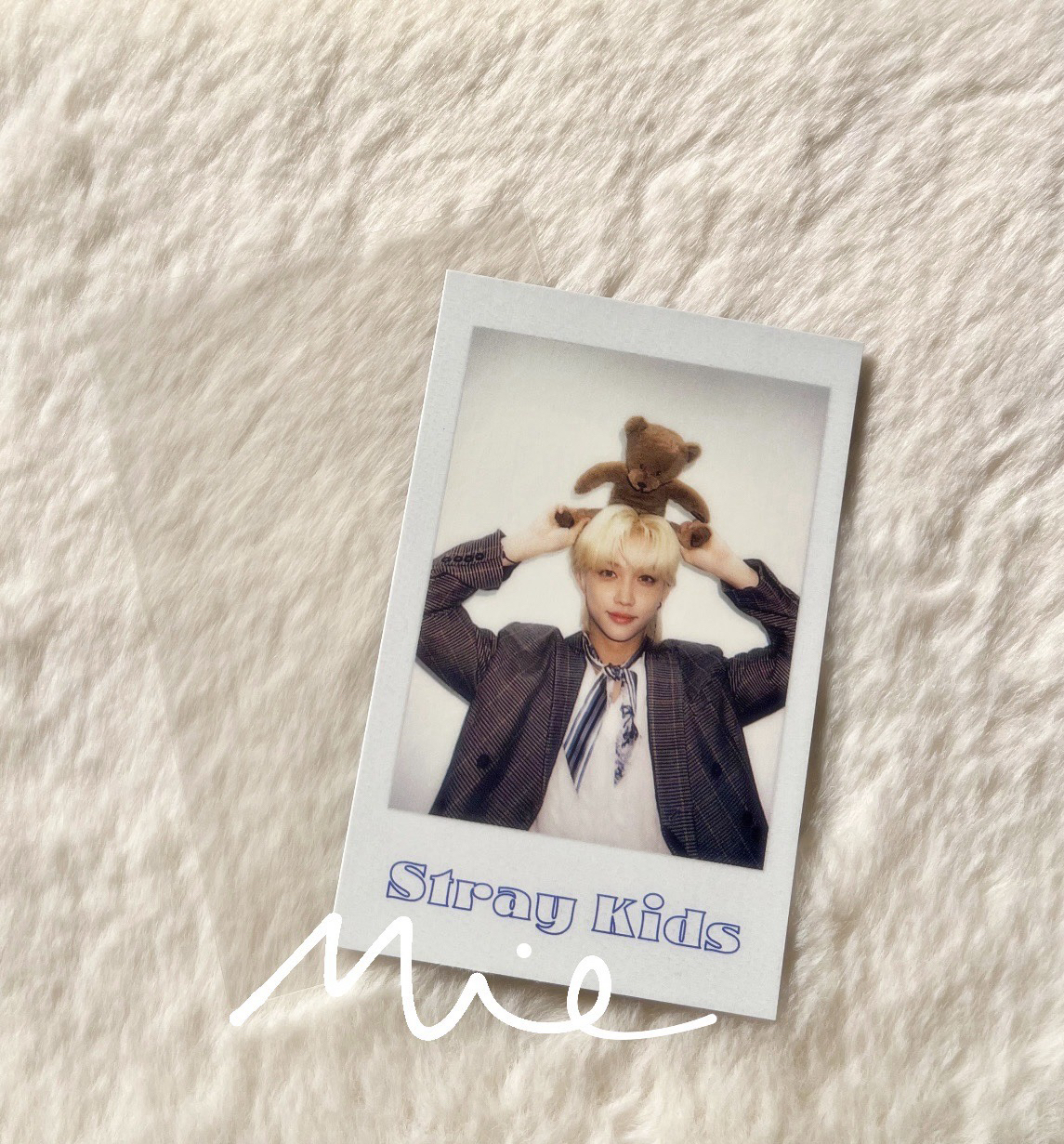 2022台曆/舉熊菲 1500（500）