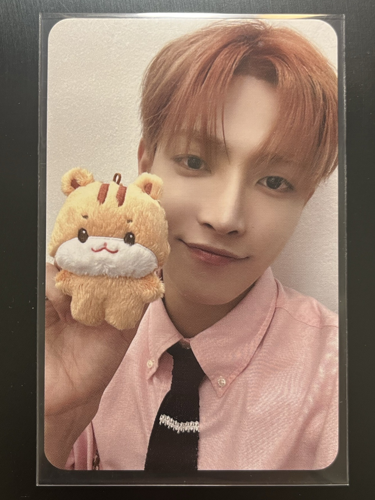 ANITEEZ in the calling 寶寶娃卡 弘中 中拉米平方