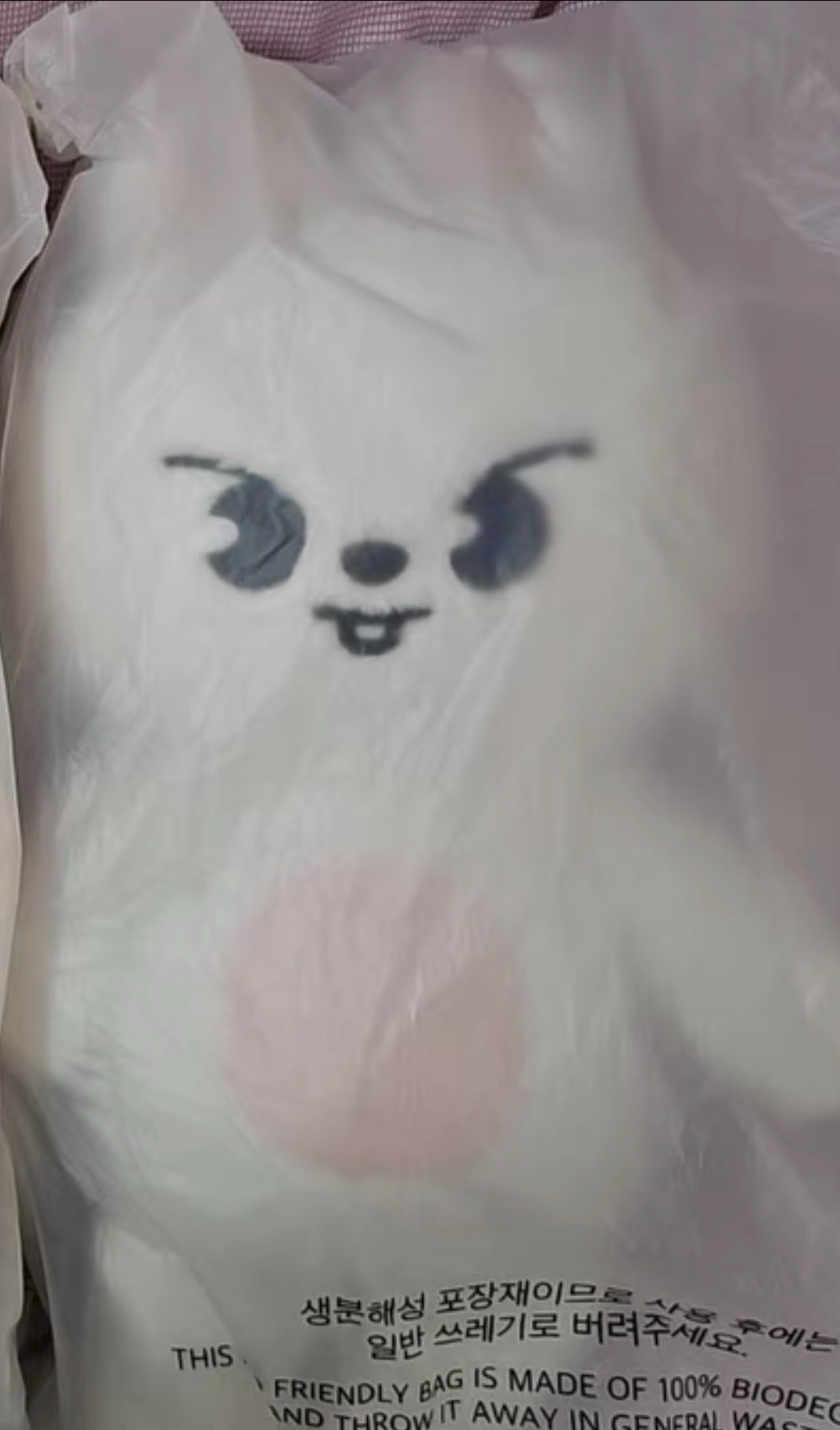 SKZOO 李畢 泰迪 李旻浩 Leeknow Stray kids