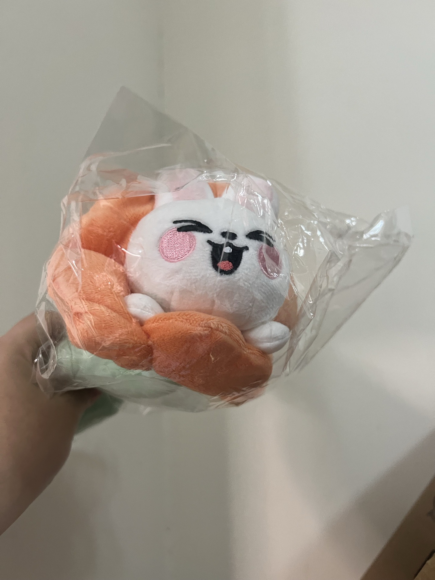 辰桑拿徽章 旻花花筆袋