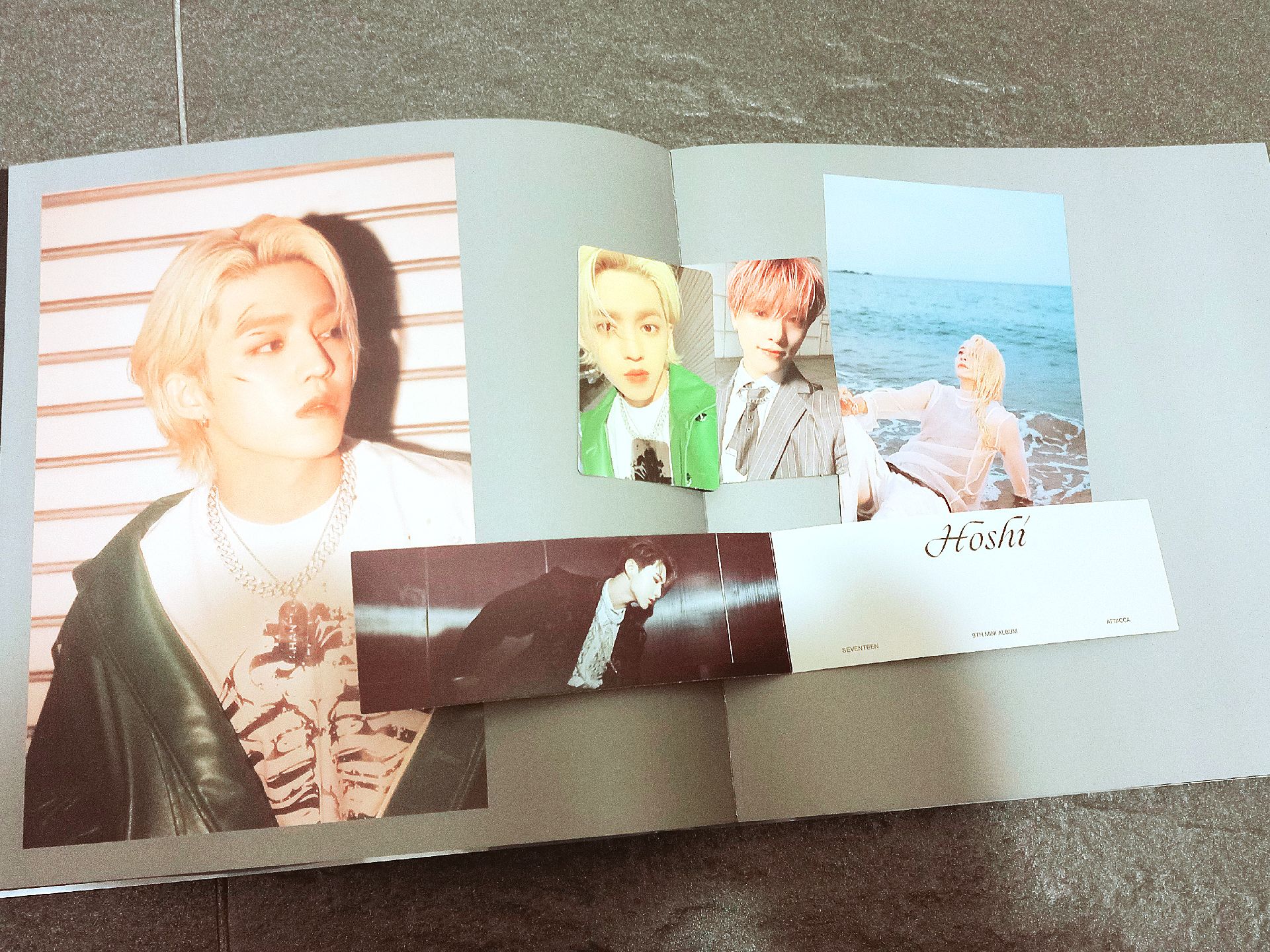 [現貨全專]mini9 OP2 勝喆 DINO小卡 淨漢明信片 黑泡隊