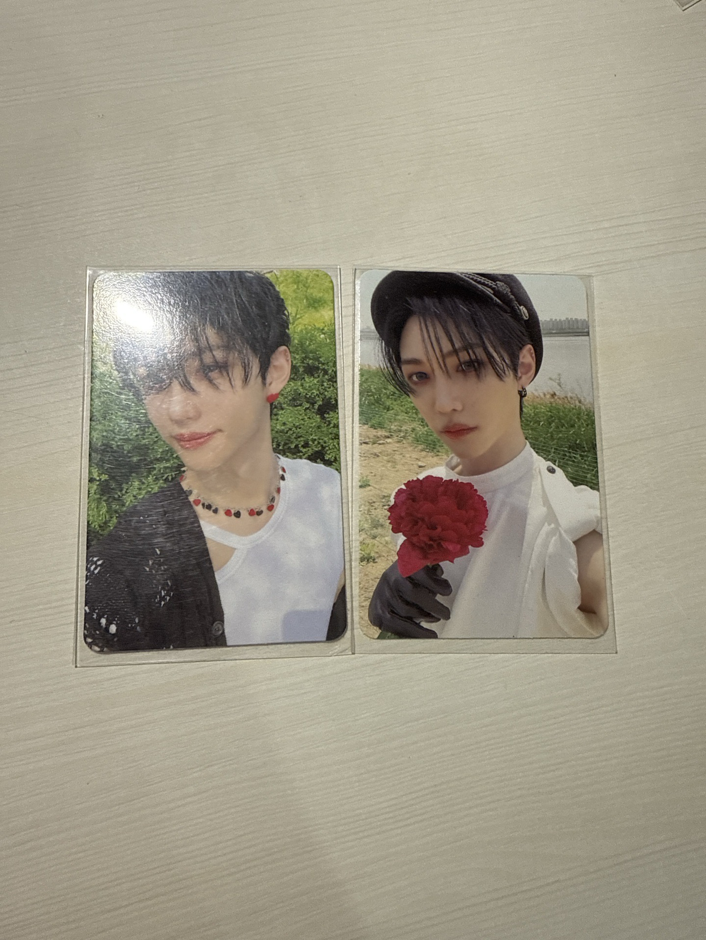 MAXIDENT 專輯卡 菲