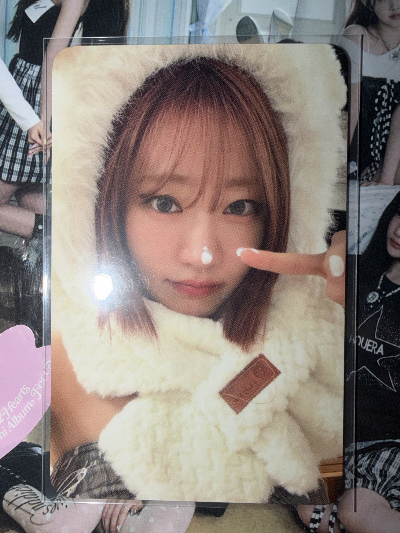 kiss of life julie 台北簽售白熊