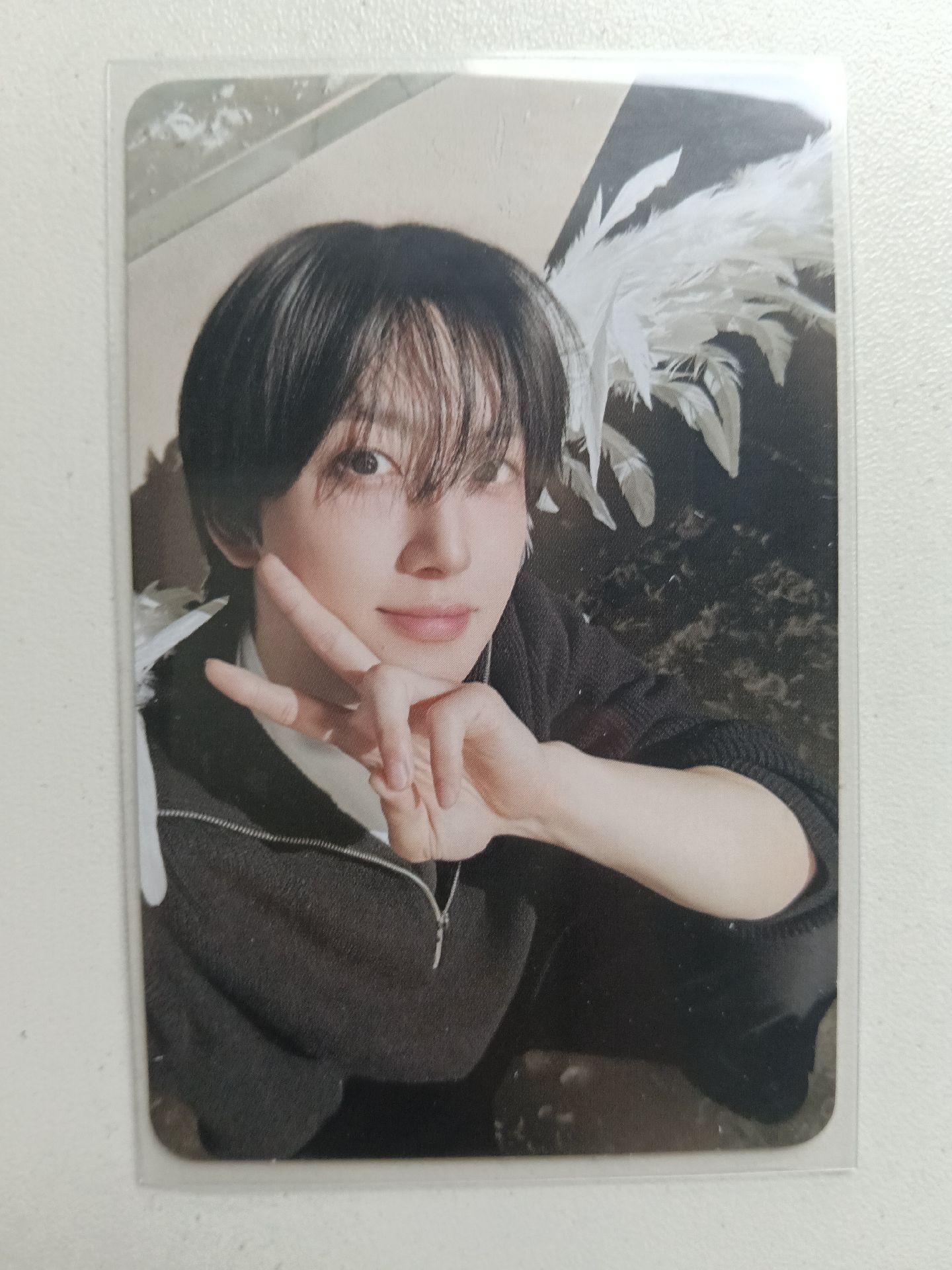 天使Fuma（含拍立得）