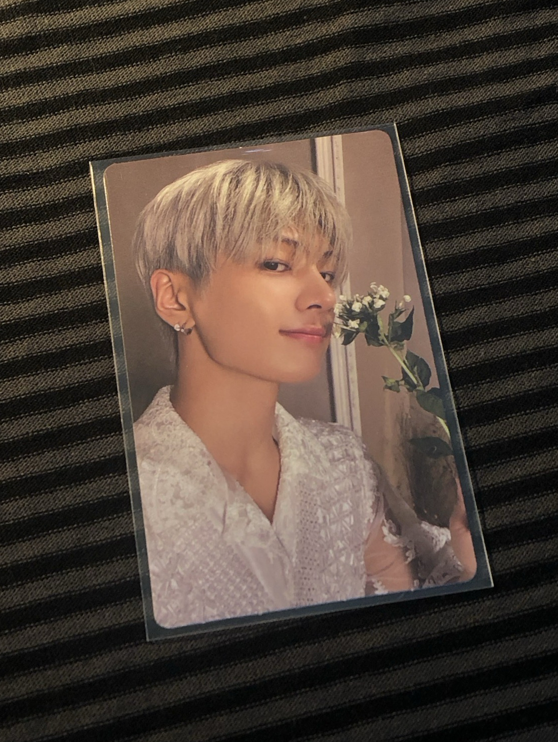 銀咪專欄🐈‍⬛