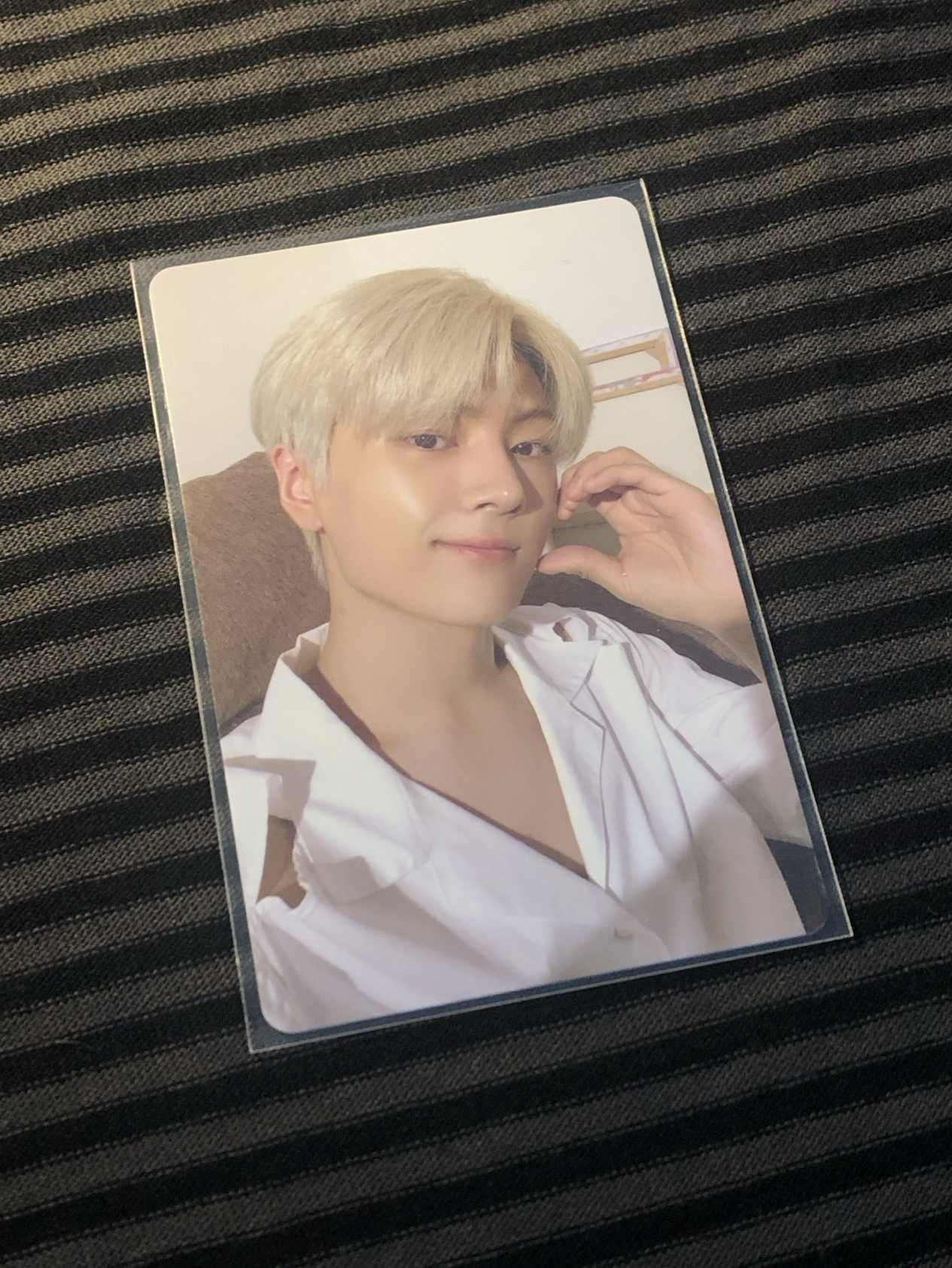 銀咪專欄🐈‍⬛