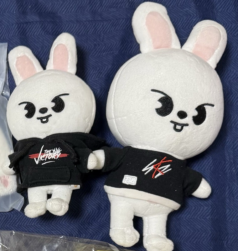 SKZ 15cm 20cm LeeKnow 李畢大小娃