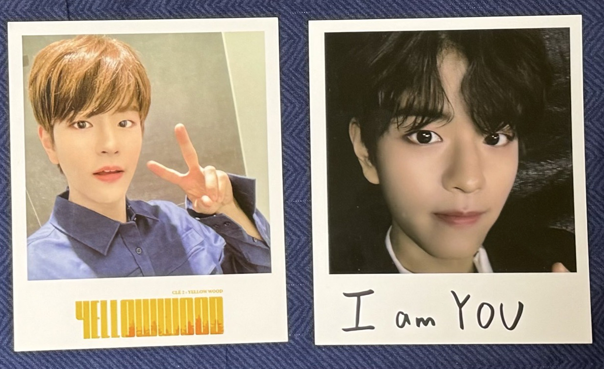 SKZ 昇玟 黃木 I am you 台壓大卡 中背