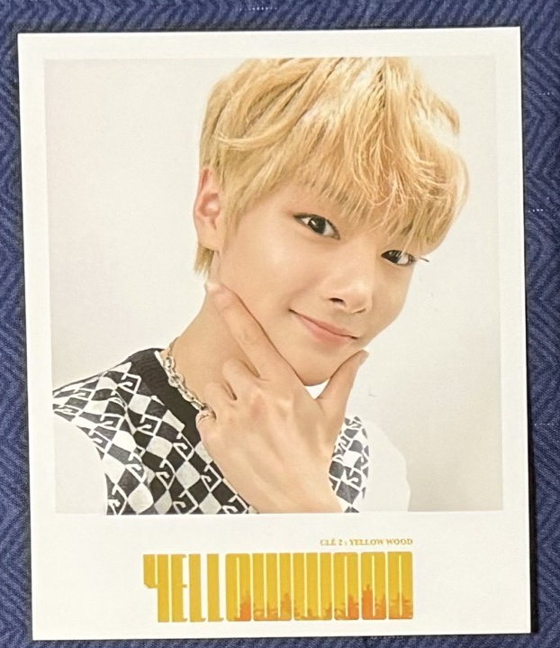 SKZ 精寅 黃木台壓大卡 中背