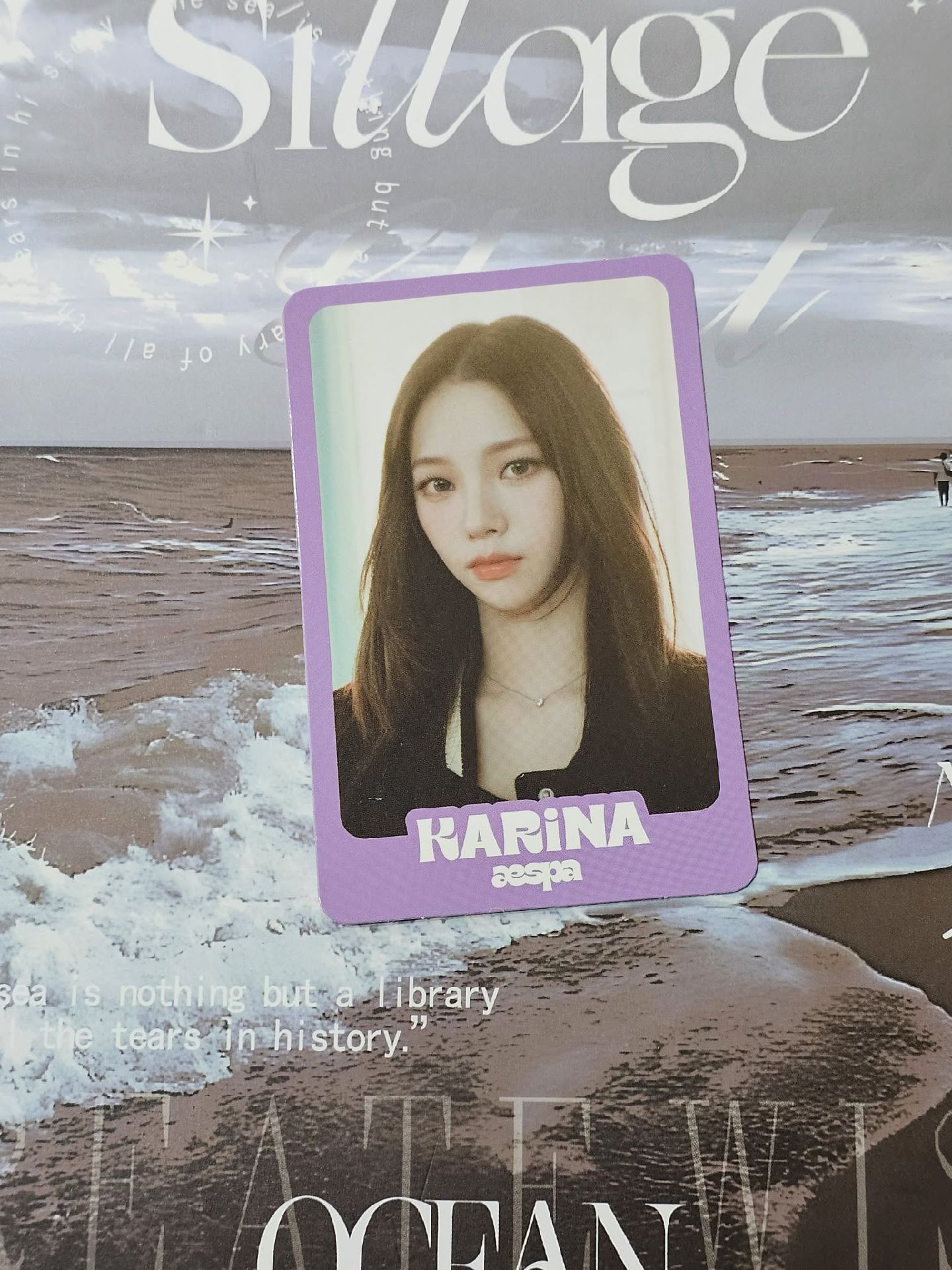 🎀ctmi 隨機卡 紫版柚