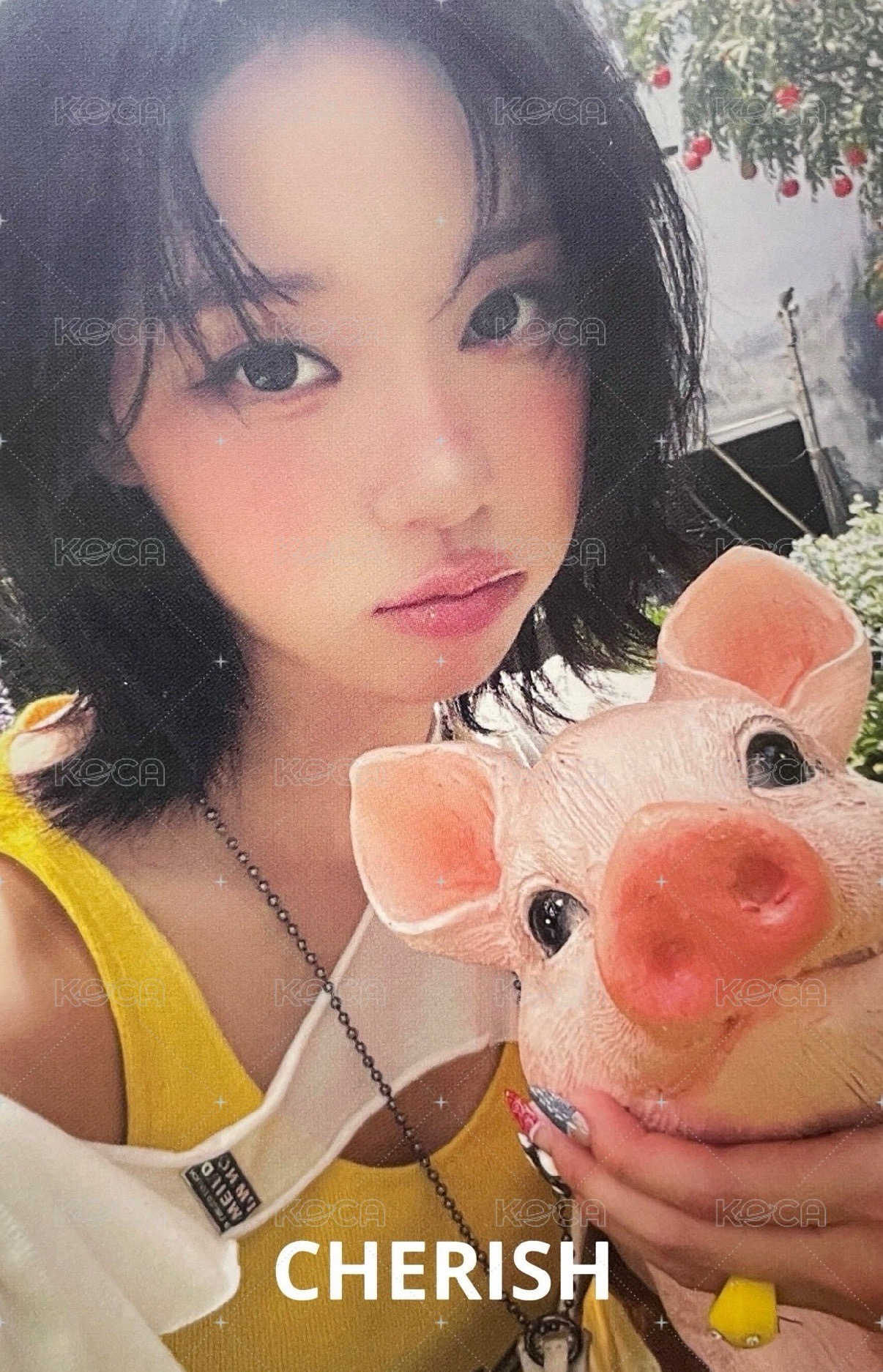 Rich man/ms預售特典冬