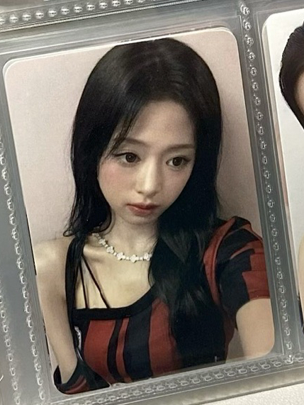 25世巡 wvs 首爾場 會員禮卡 