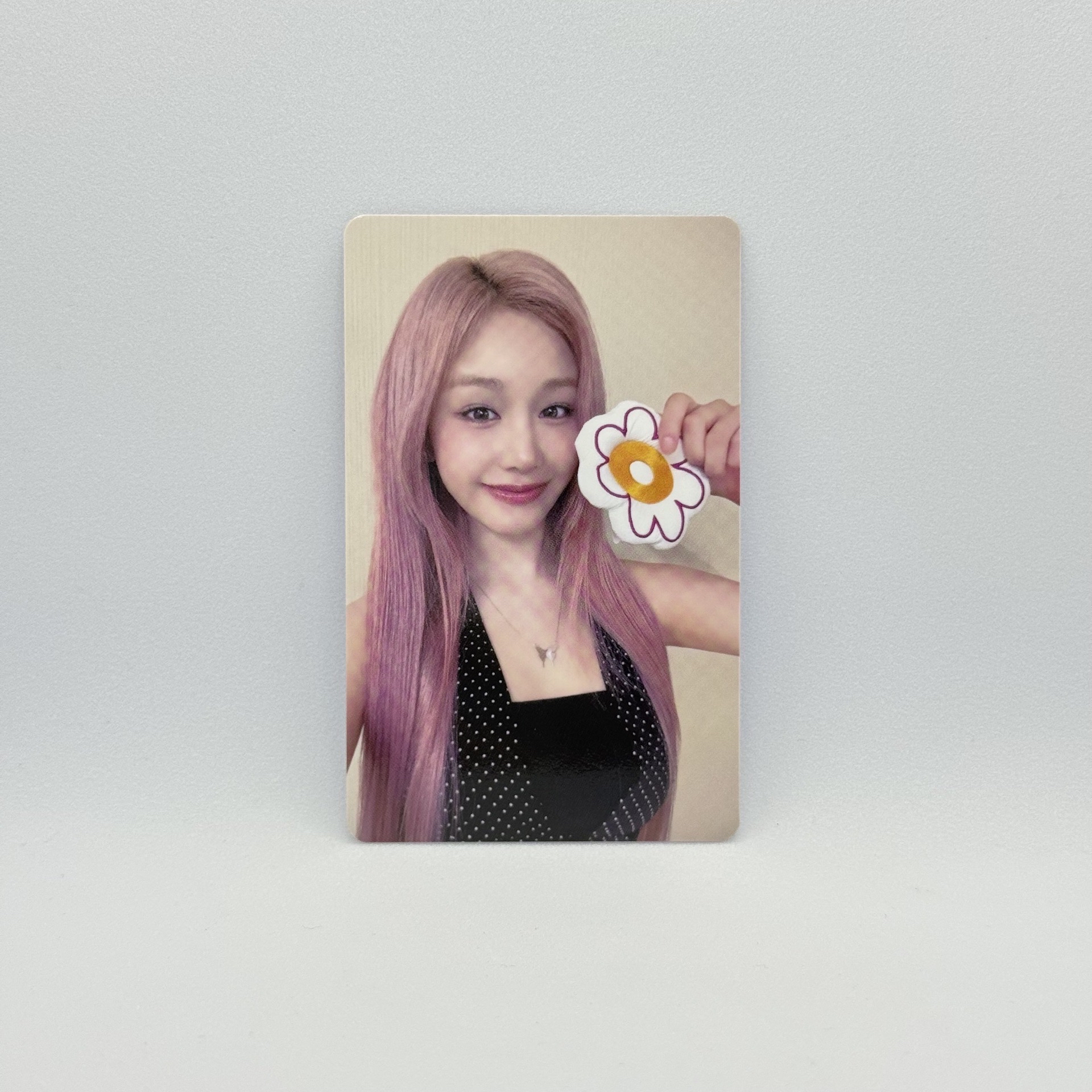 BABYMONSTER｜PHARITA｜感謝祭卡包 A.