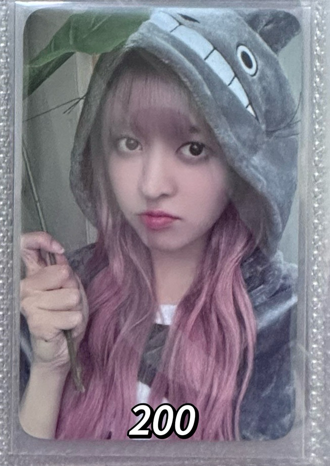 仲夏夜el龍貓莉