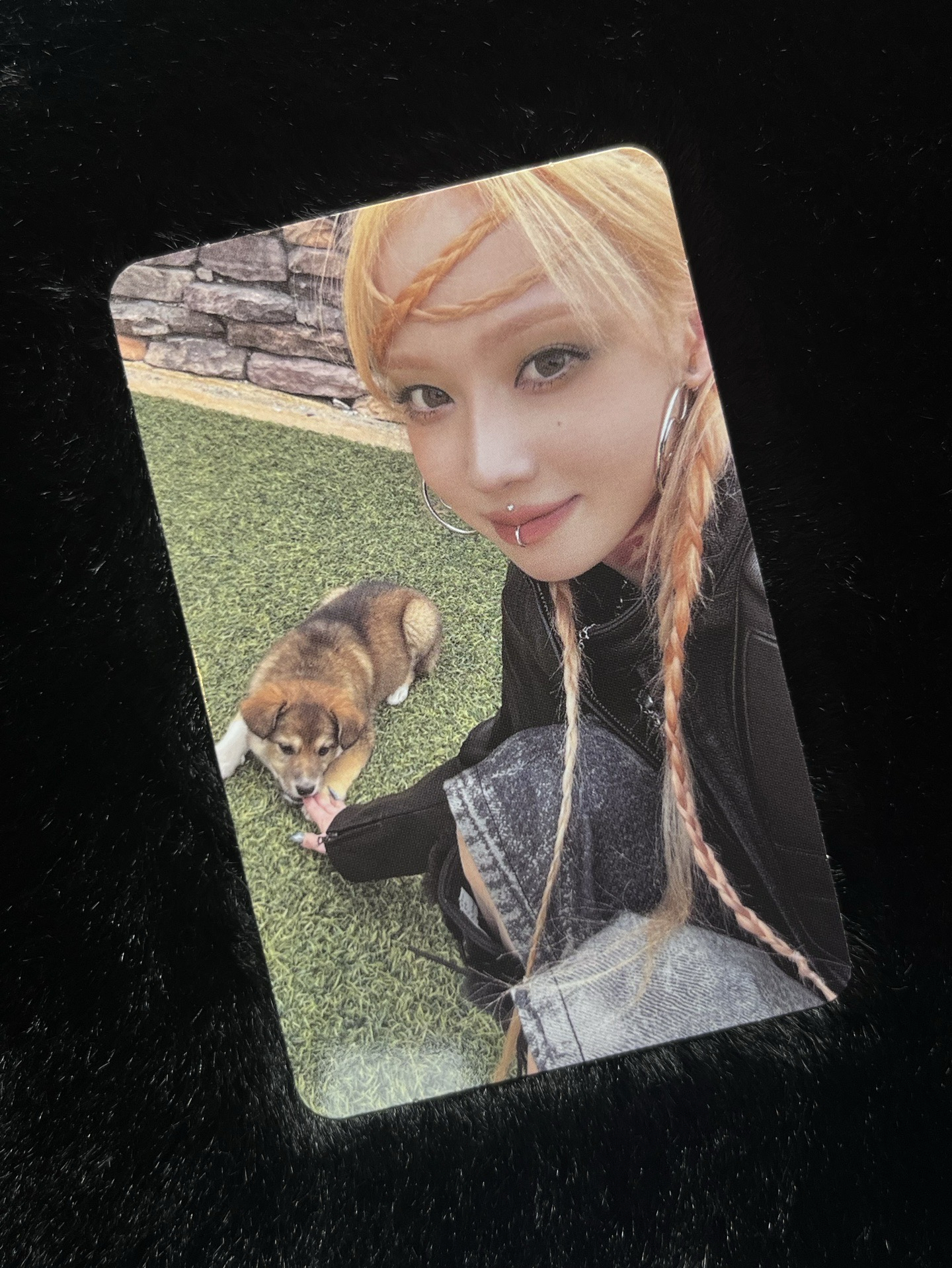 ⭐️正規一 zine版 狗狗冬