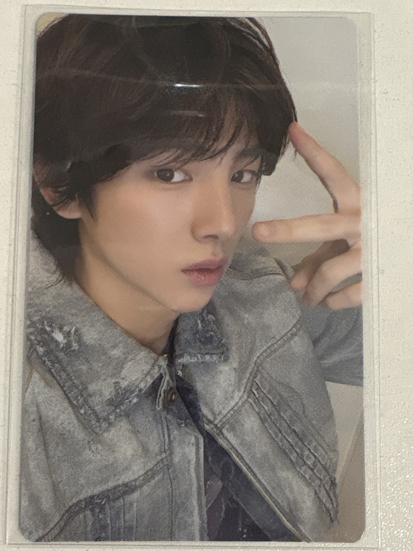 Cortis AAA 特典 金主訓 