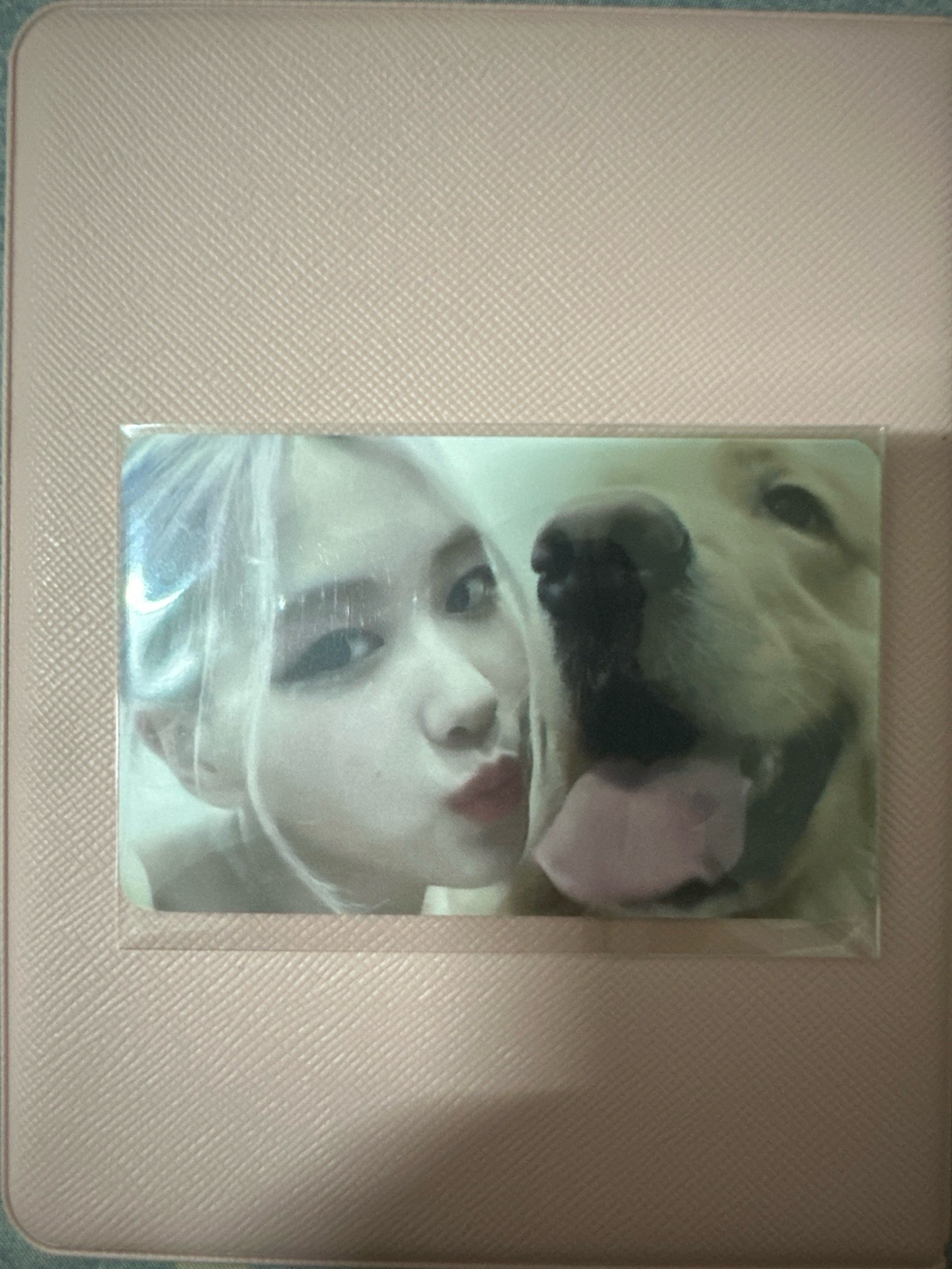 🔵THE ALBUM 特典狗狗肉