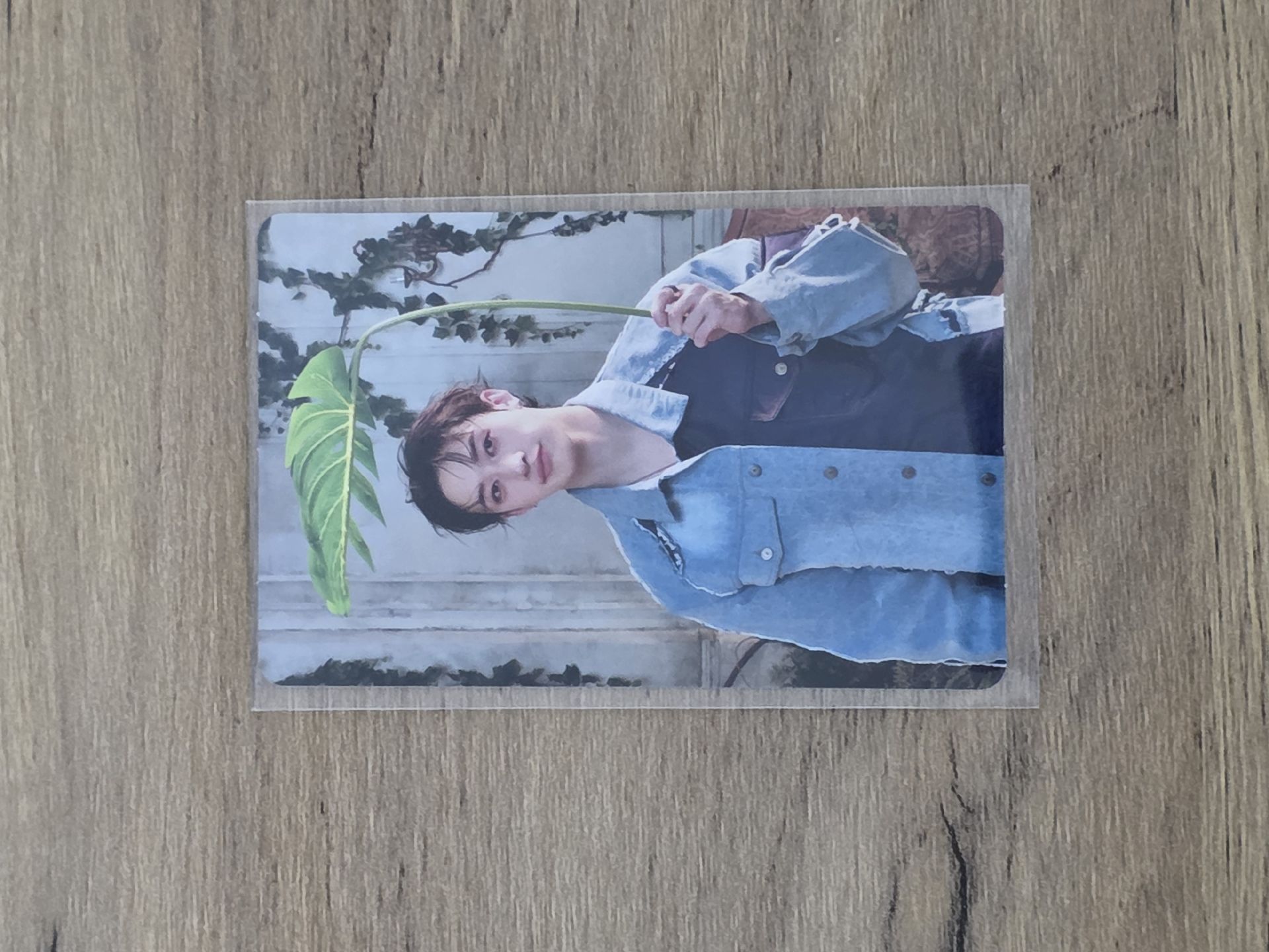 燦 | Hollow 專輯卡 初回生產限定盤A